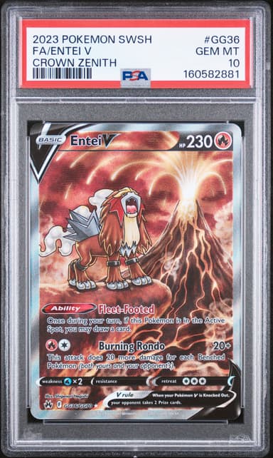 FA/ENTEI V