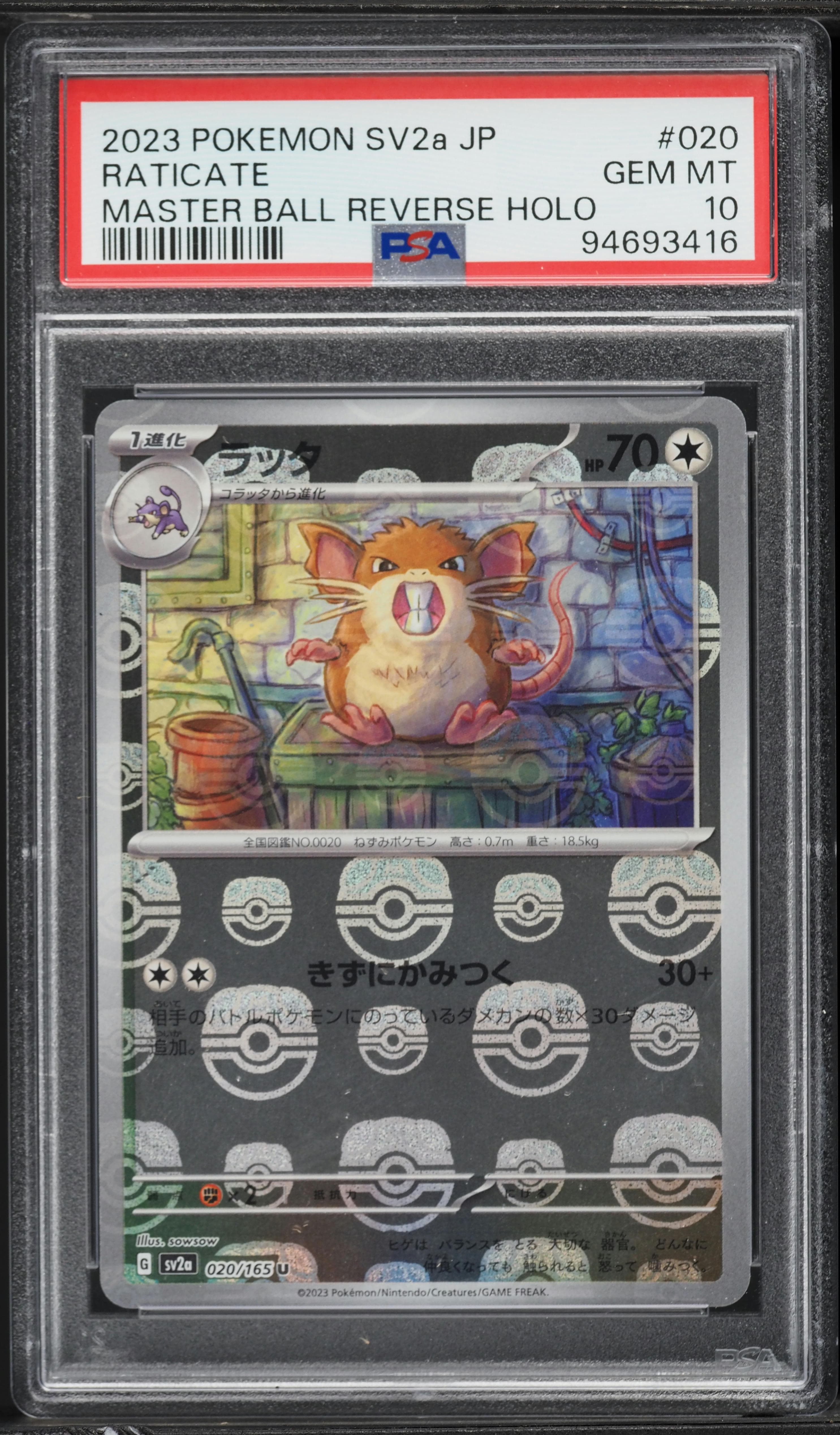Raticate Master Ball Reverse Holo