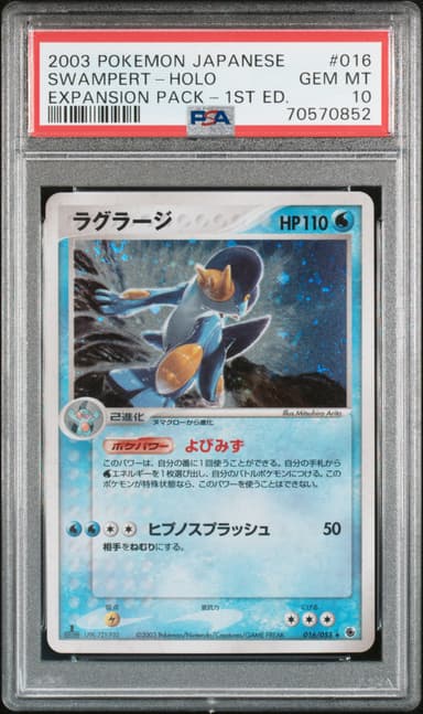 Swampert-Holo 1st Edition