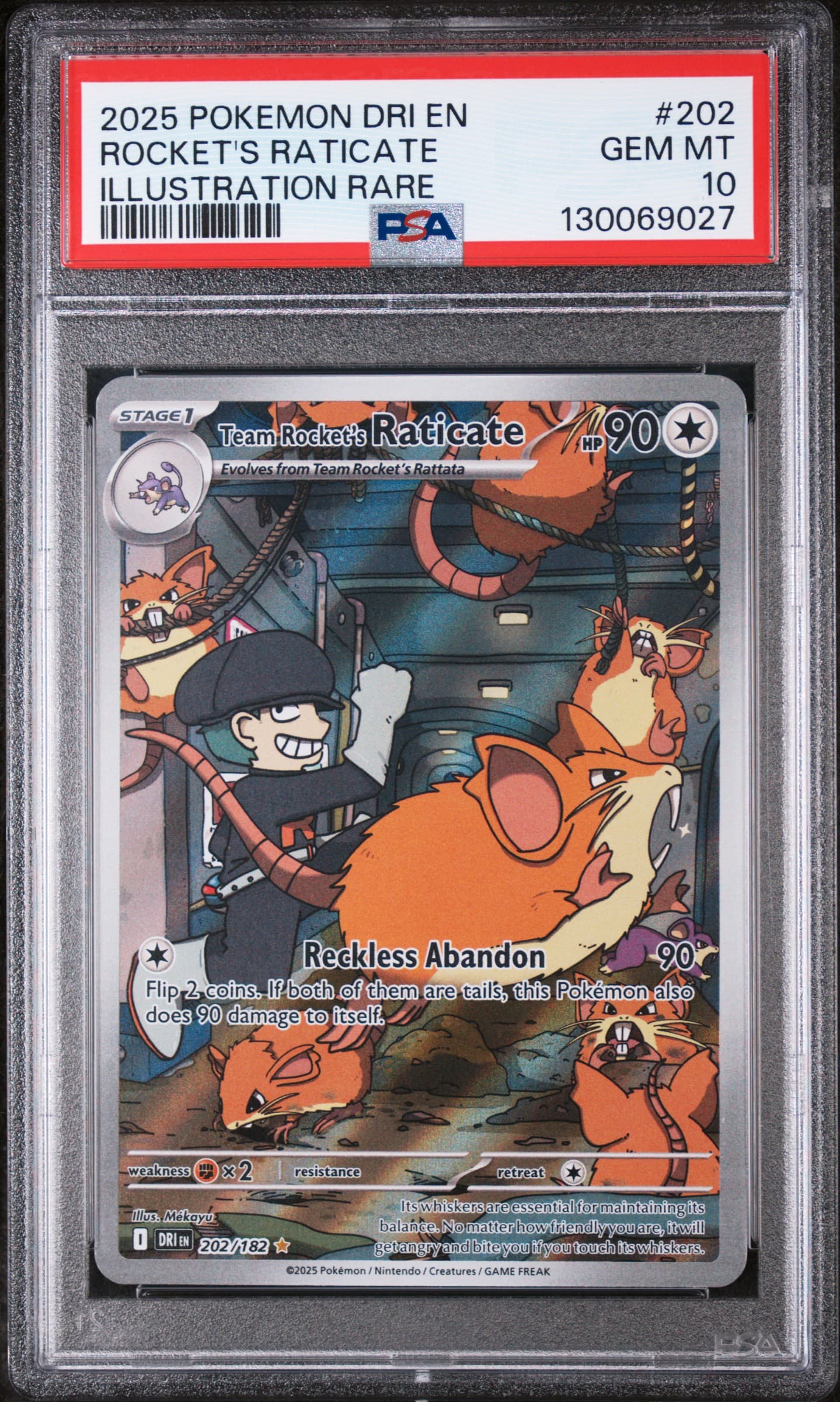 Team Rocket's Raticate