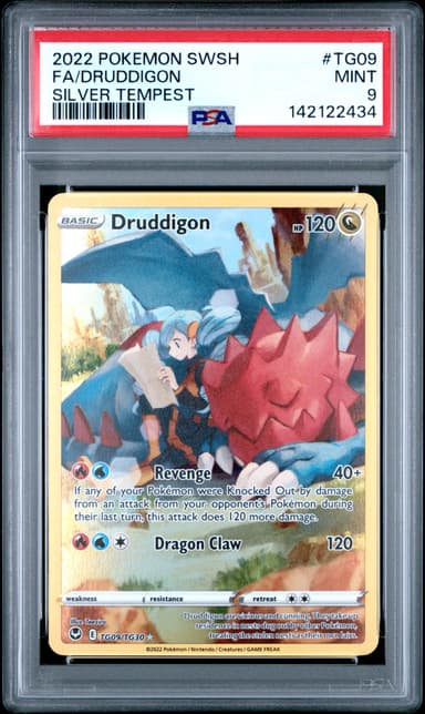 Full Art/Druddigon