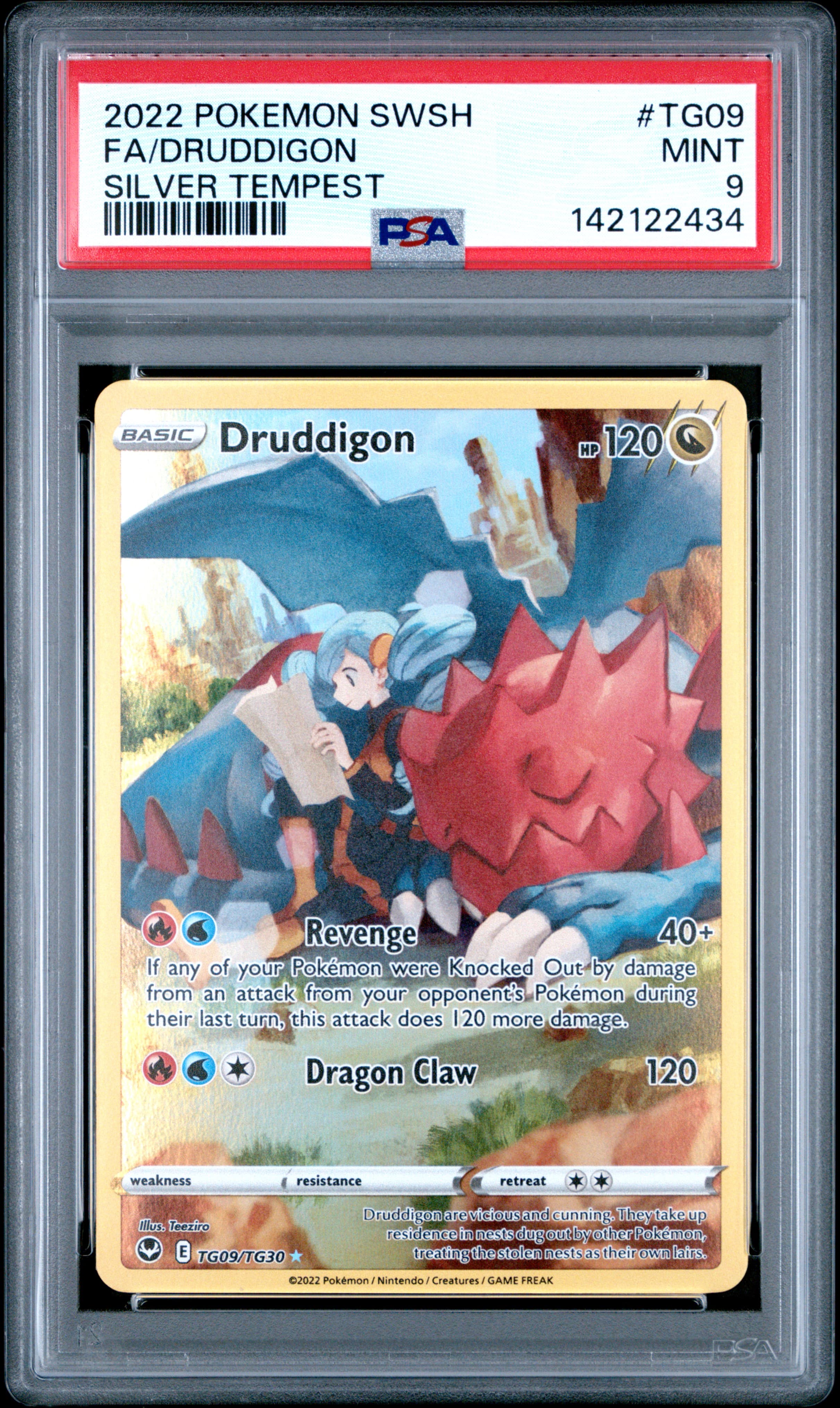 Full Art/Druddigon