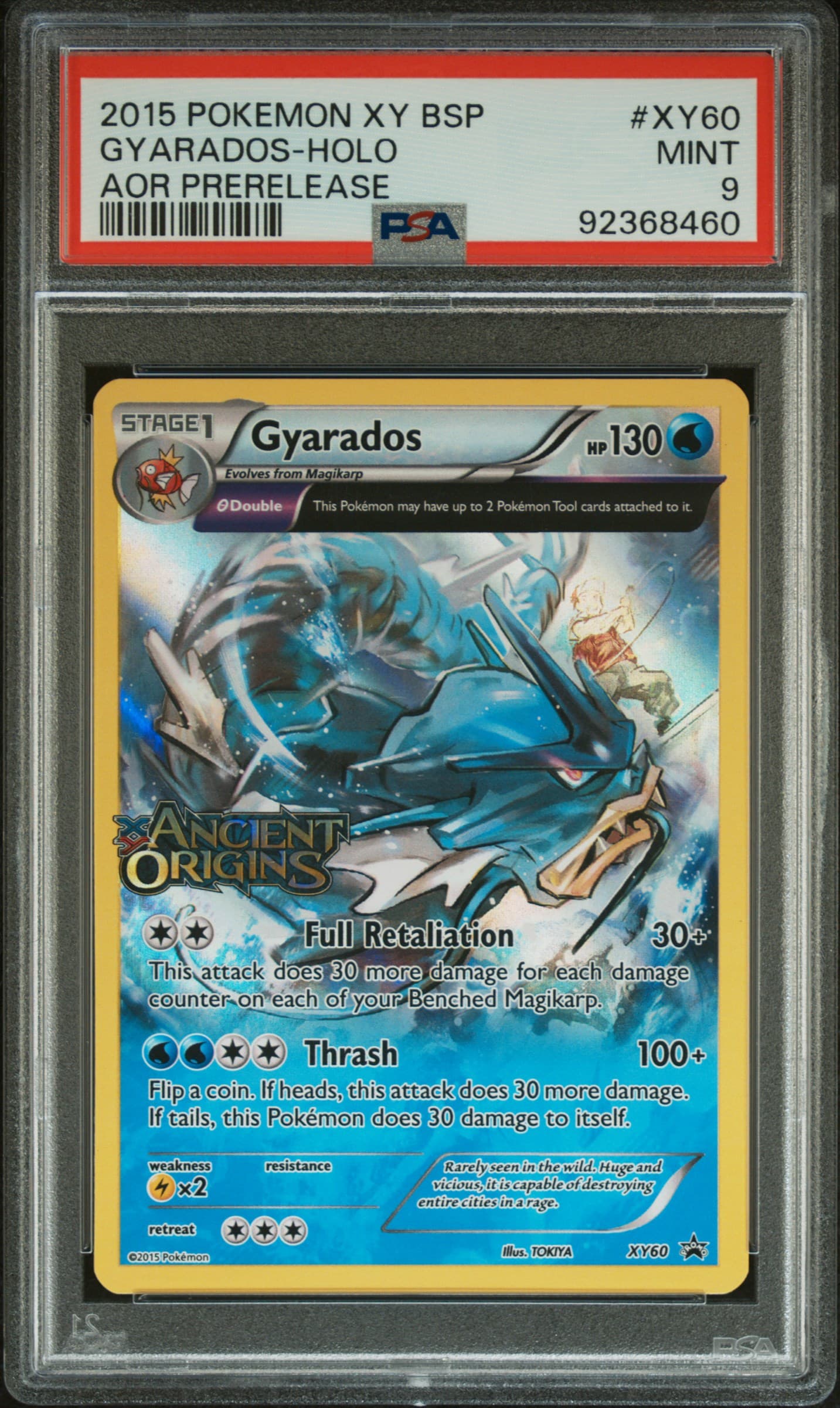 Gyarados-Holo