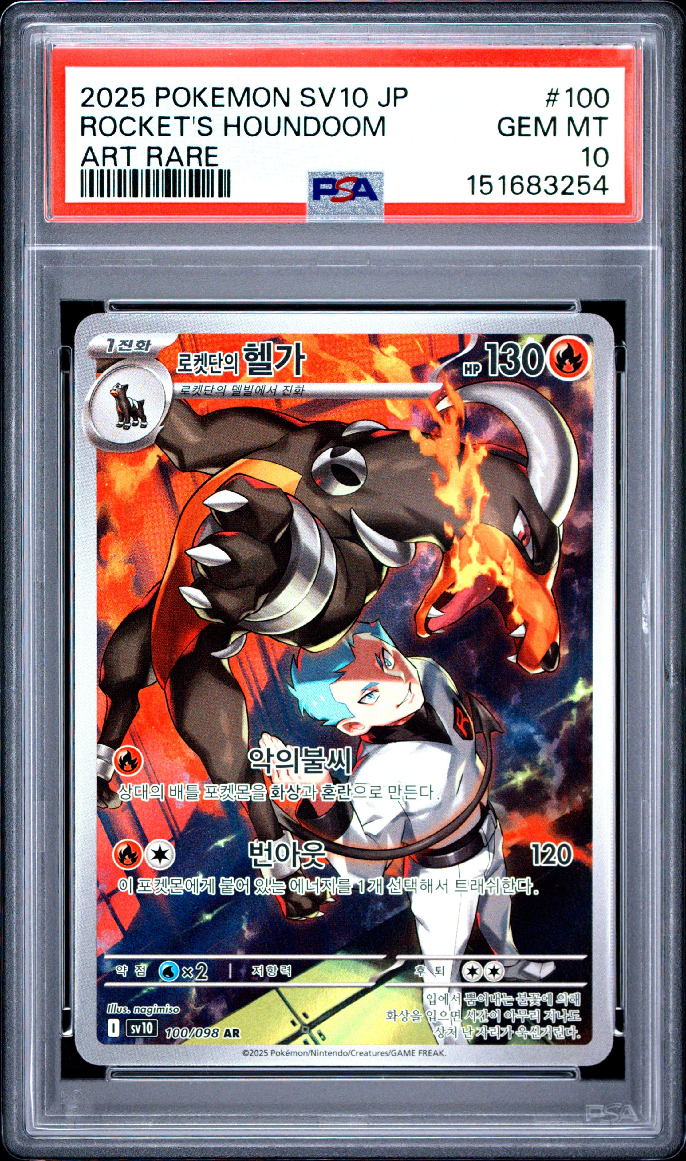 Team Rocket's Houndoom