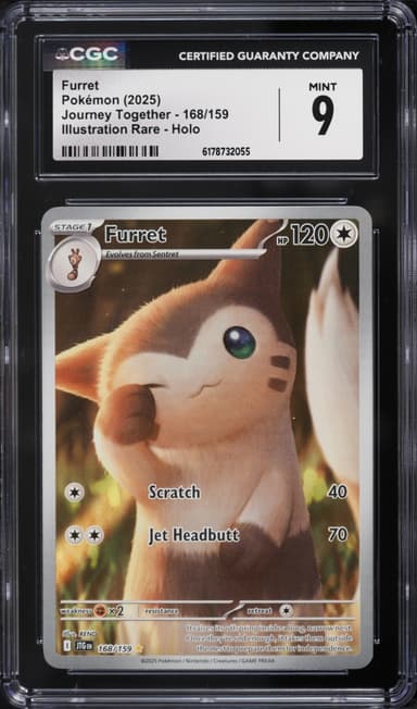 Furret