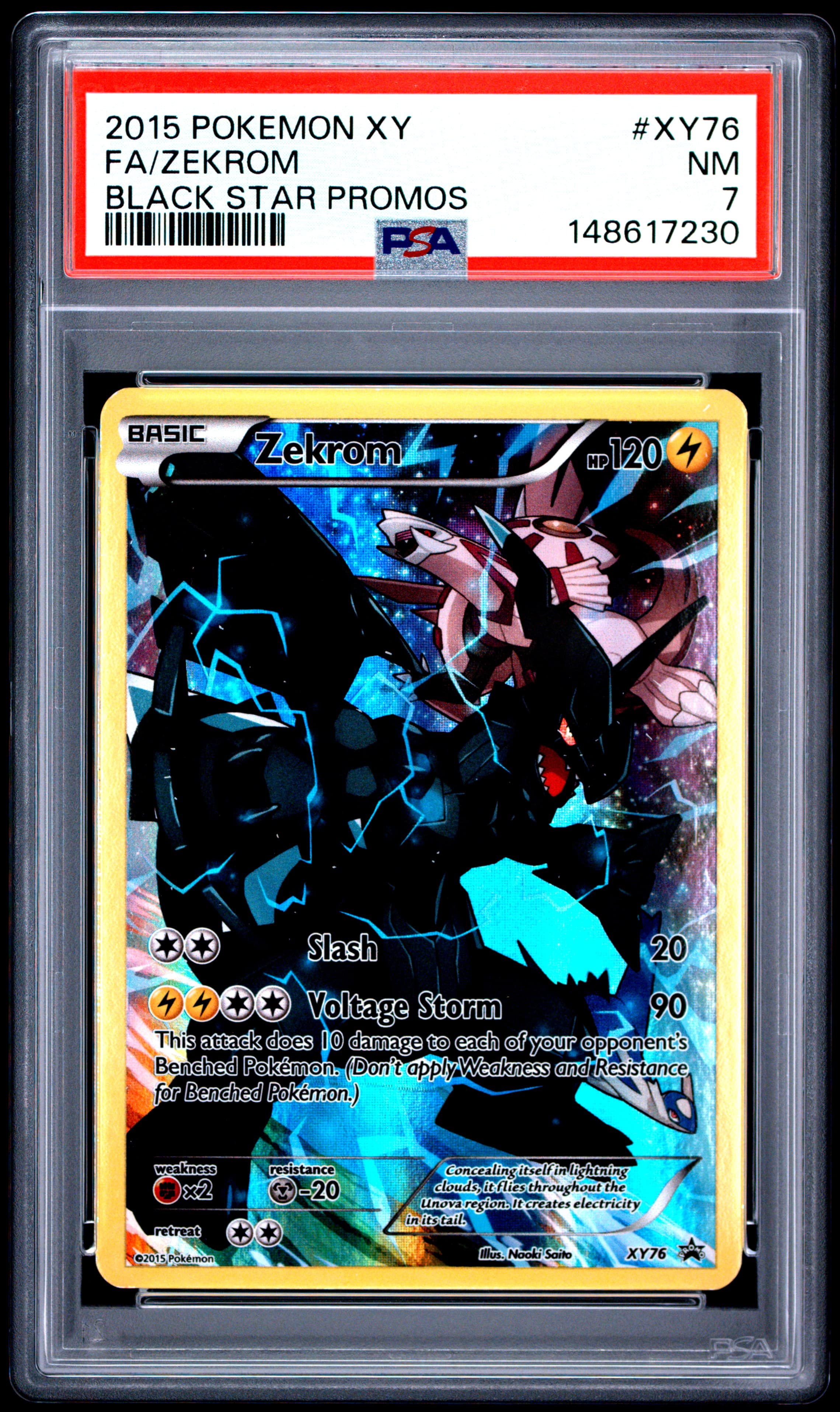 Full Art/Zekrom