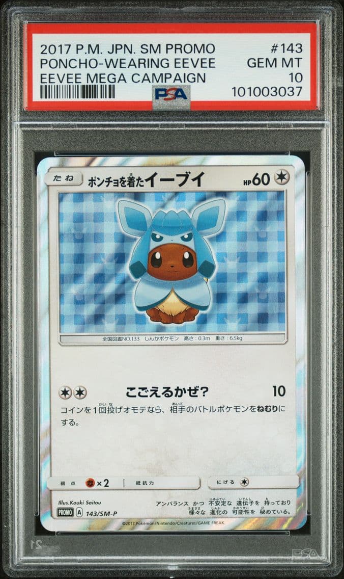 2017 #143 Poncho-Wearing Eevee P