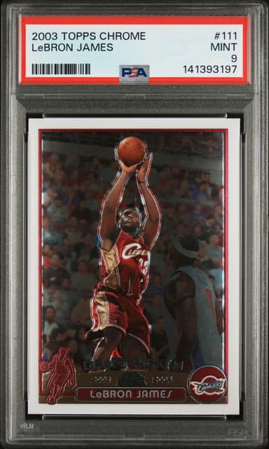 LeBron James
