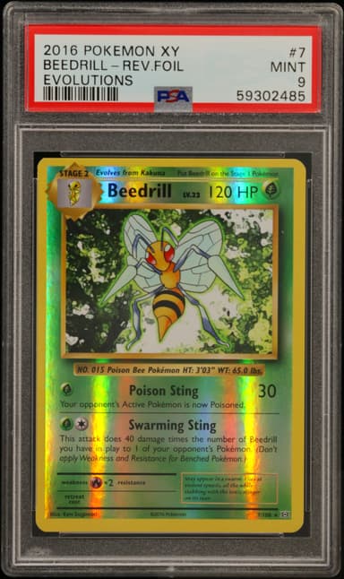 Beedrill-Reverse Foil