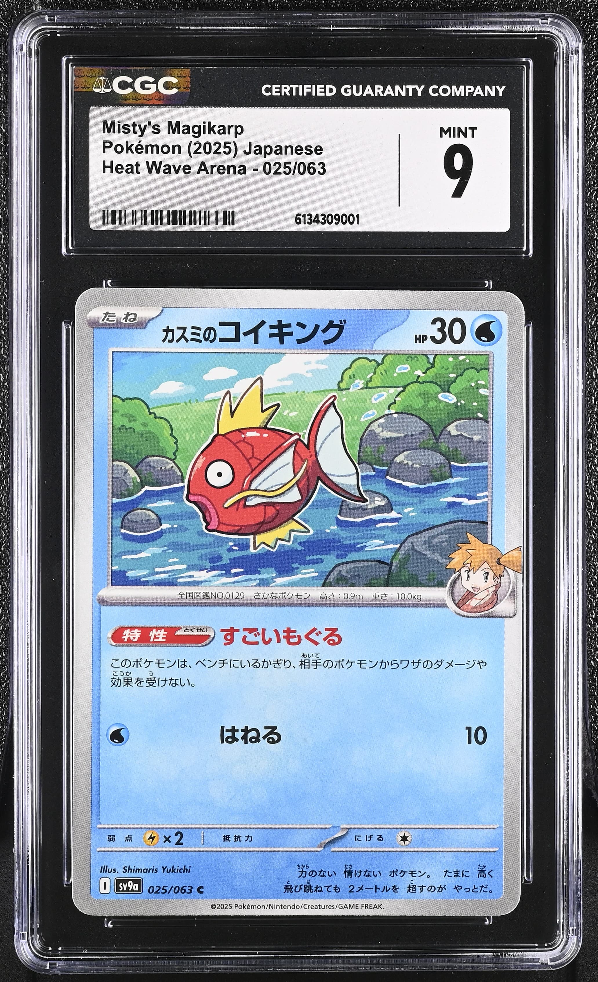 Misty's Magikarp