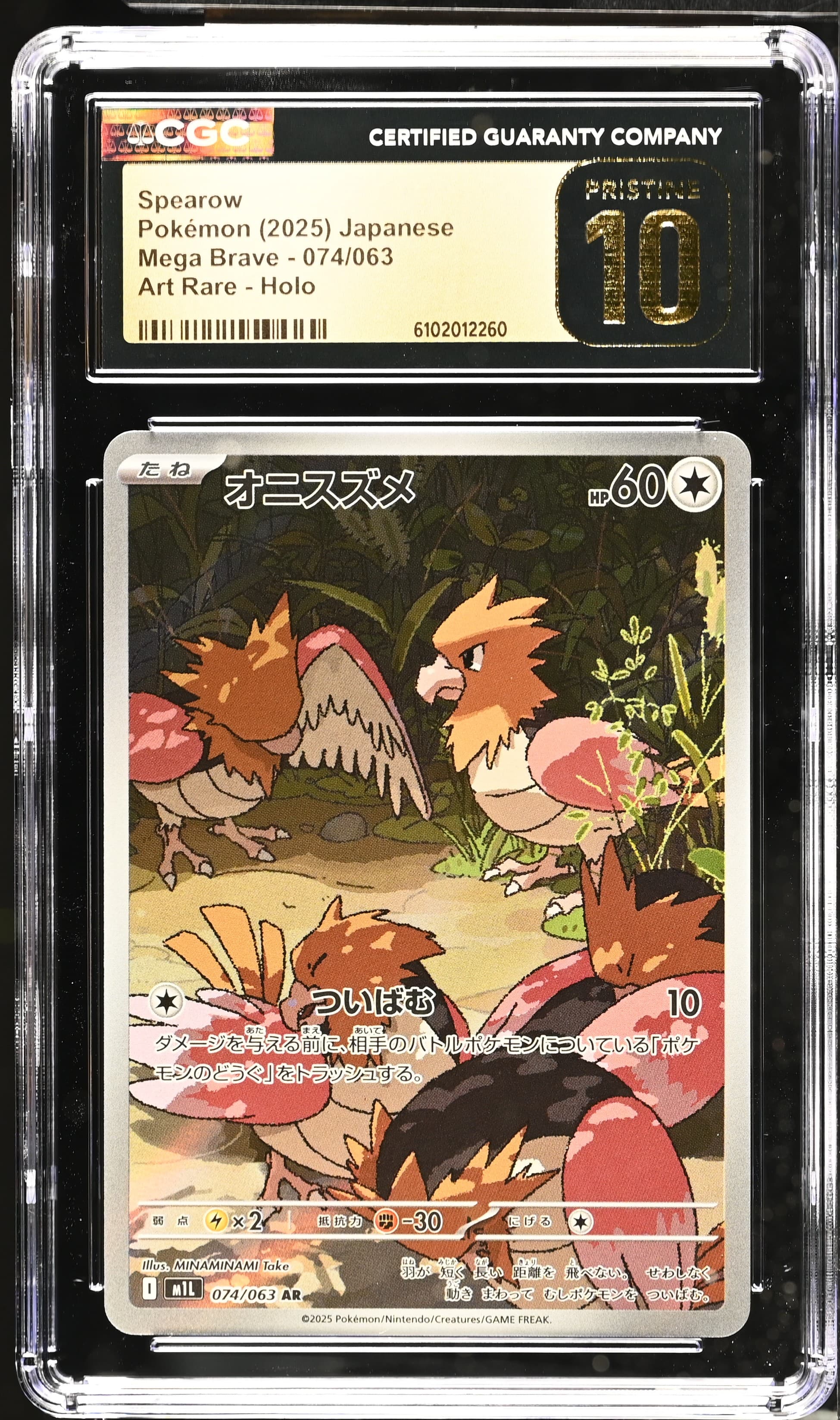 Spearow