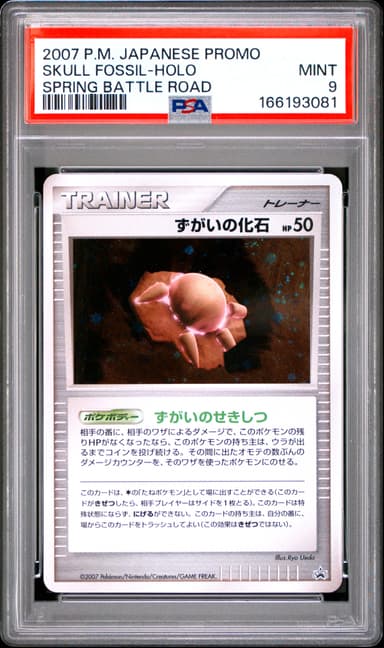 Skull Fossil-Holo