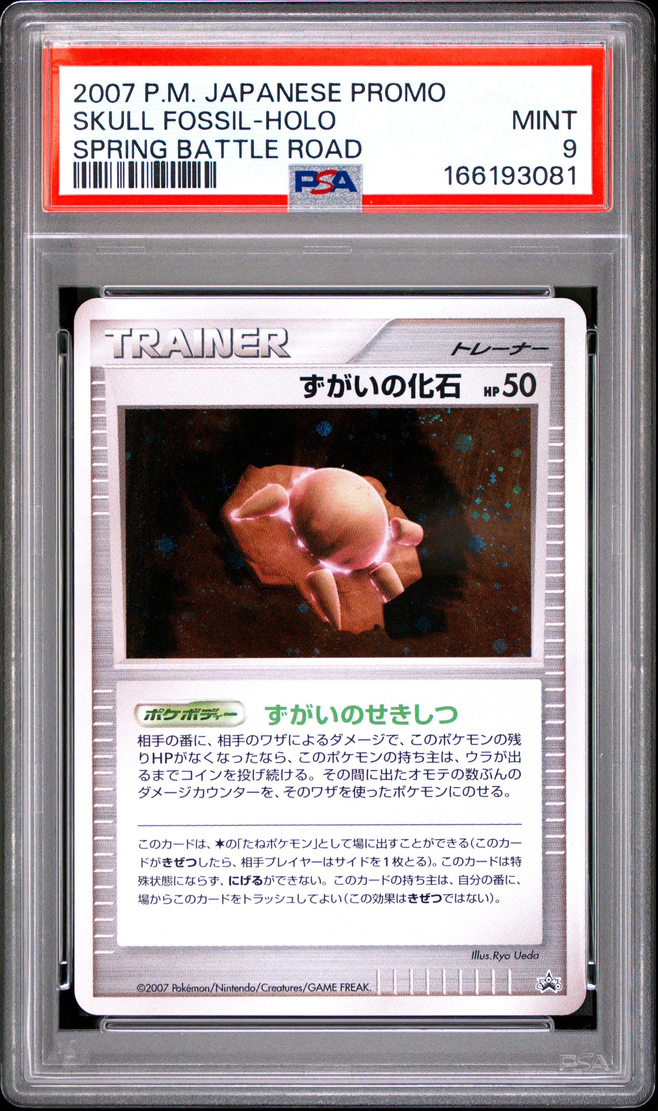 Skull Fossil-Holo