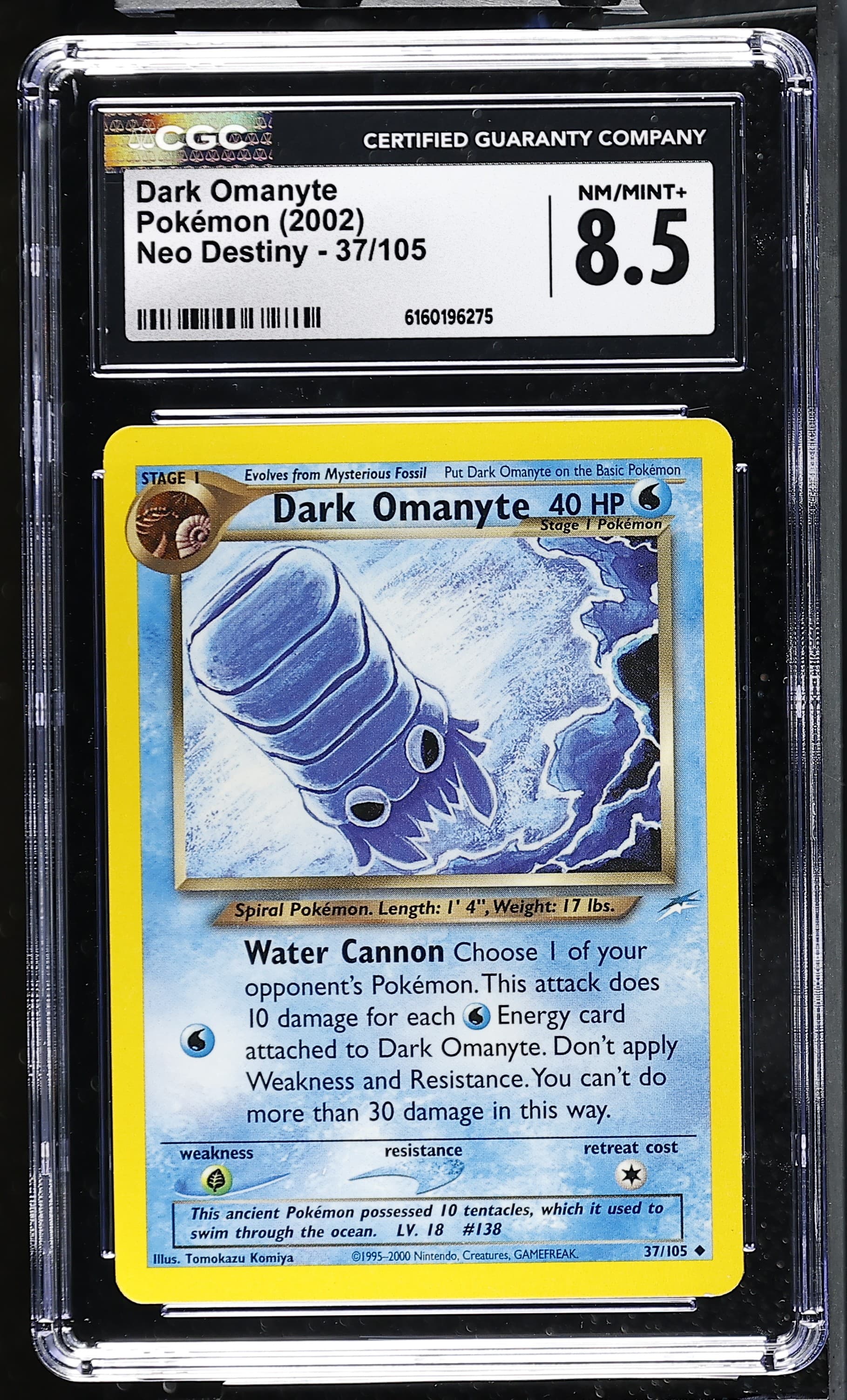 Dark Omanyte