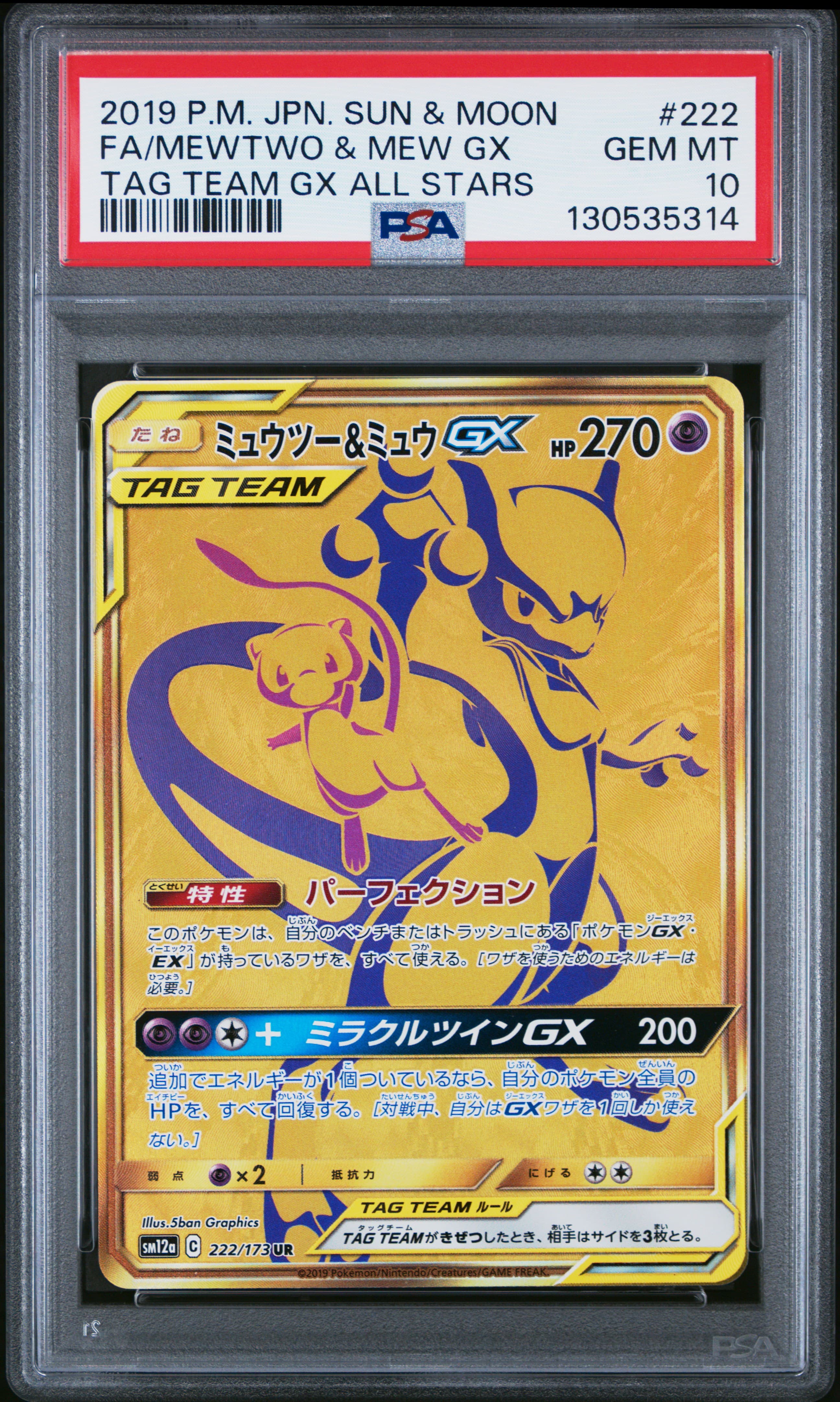Full Art/Mewtwo & Mew GX