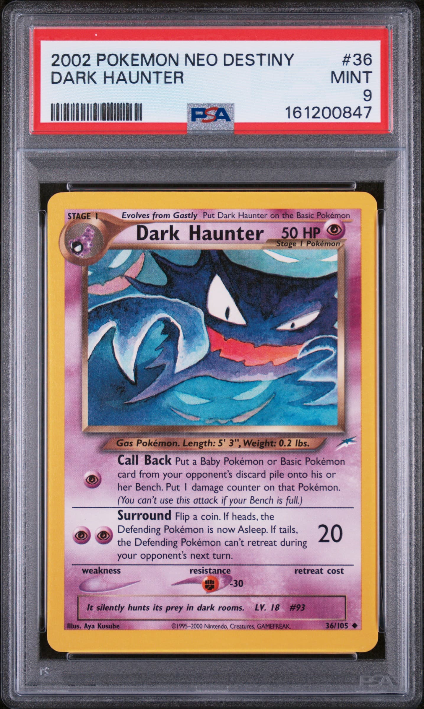 Dark Haunter