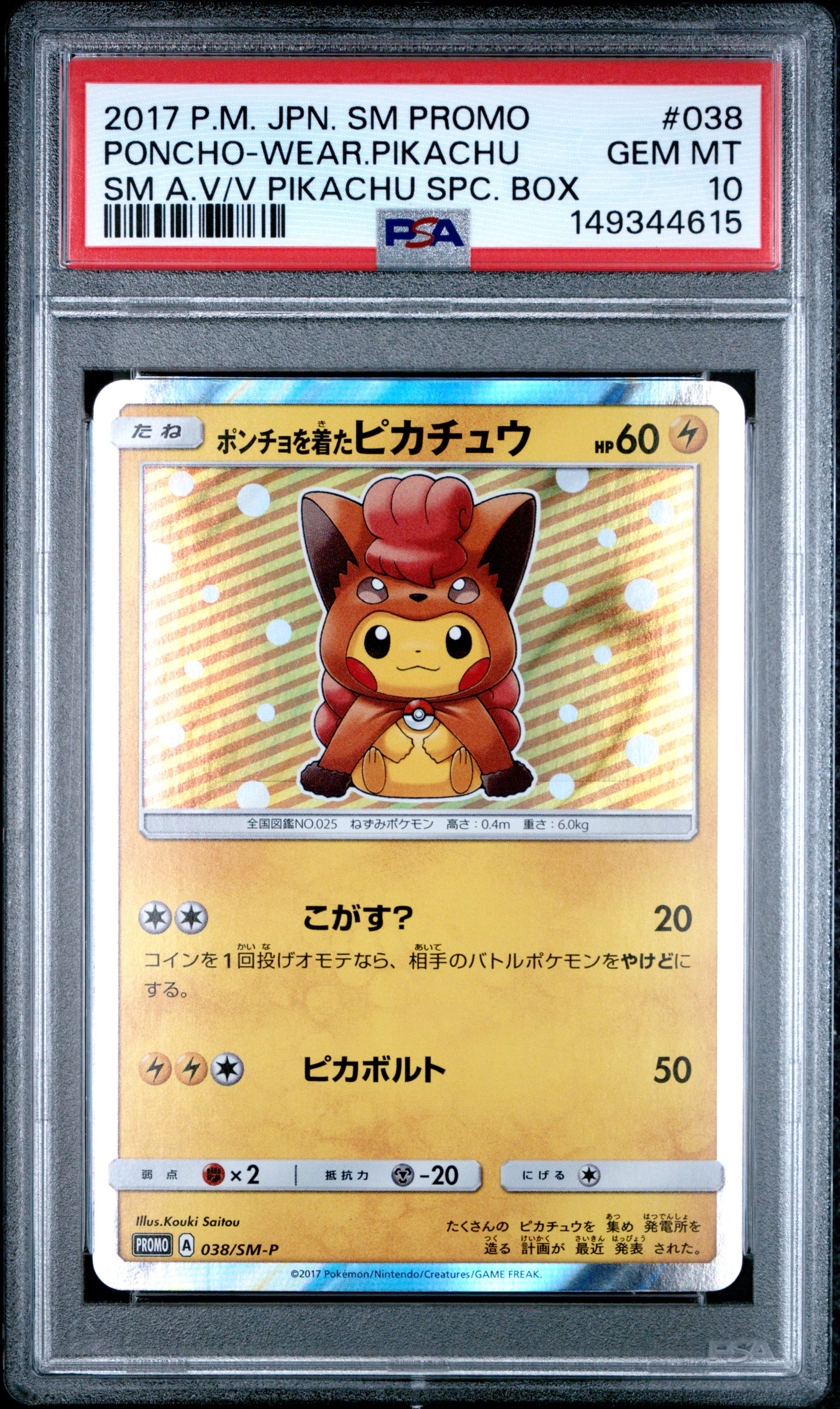 Poncho-Wearing Pikachu