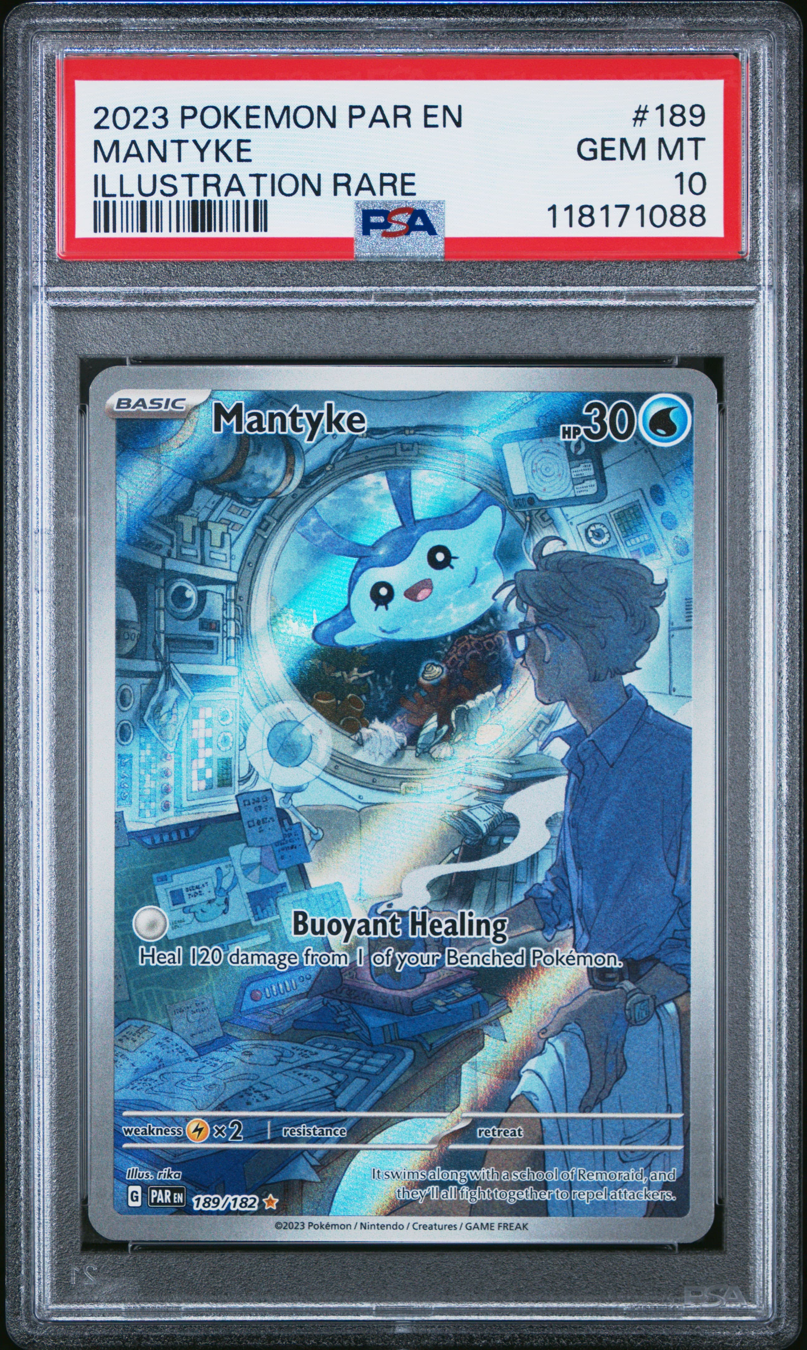 Mantyke