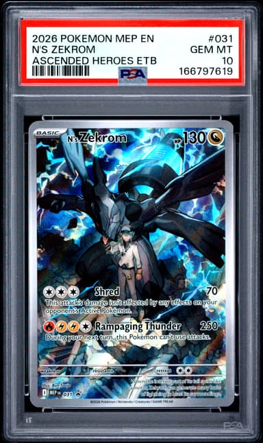 N's Zekrom
