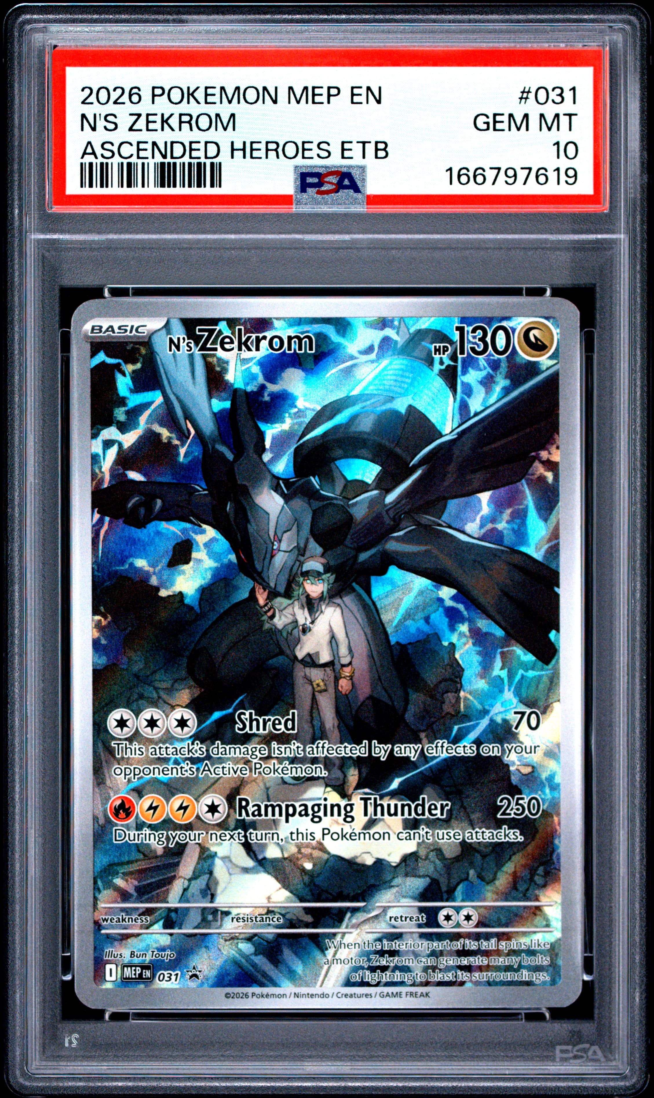 N's Zekrom