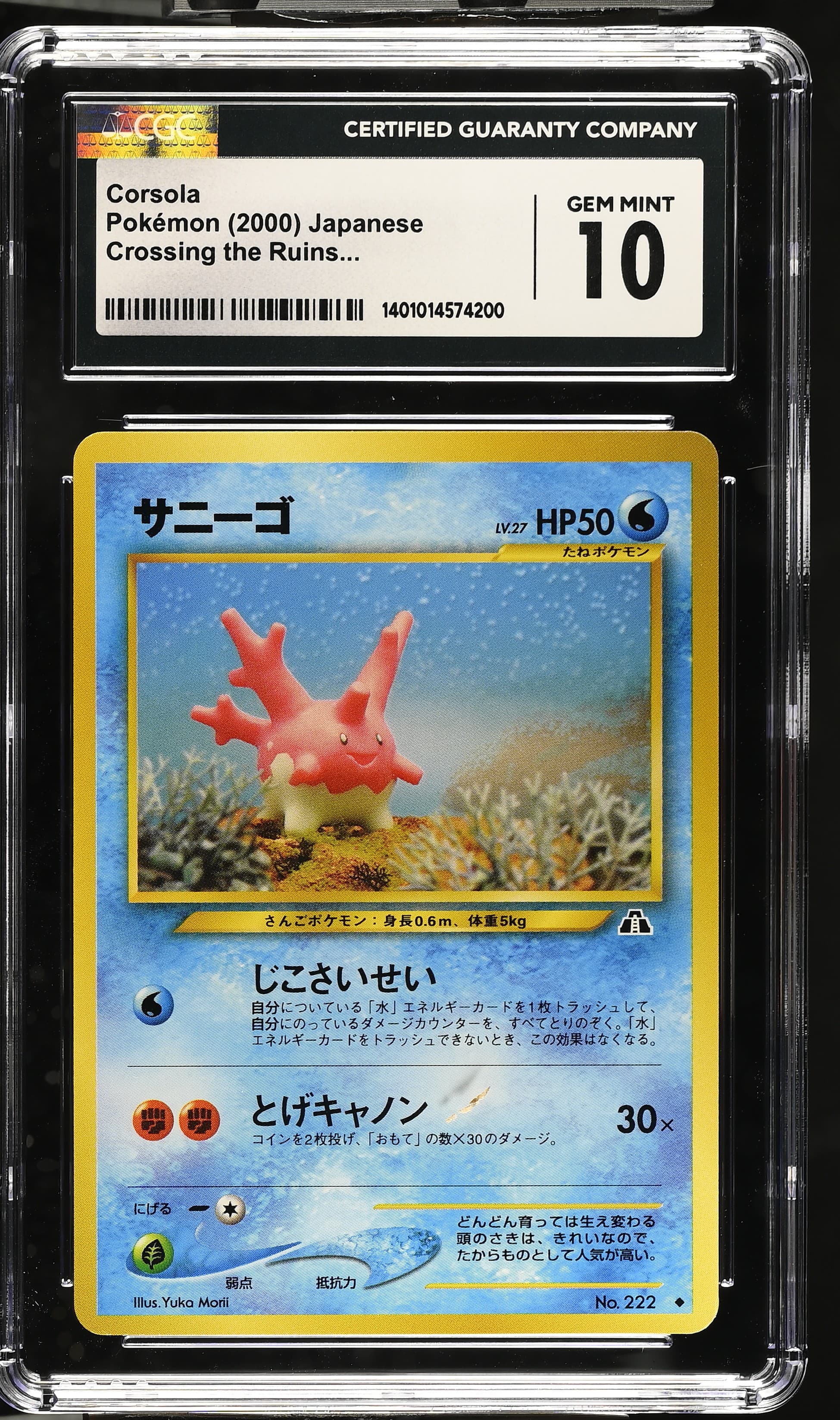Corsola
