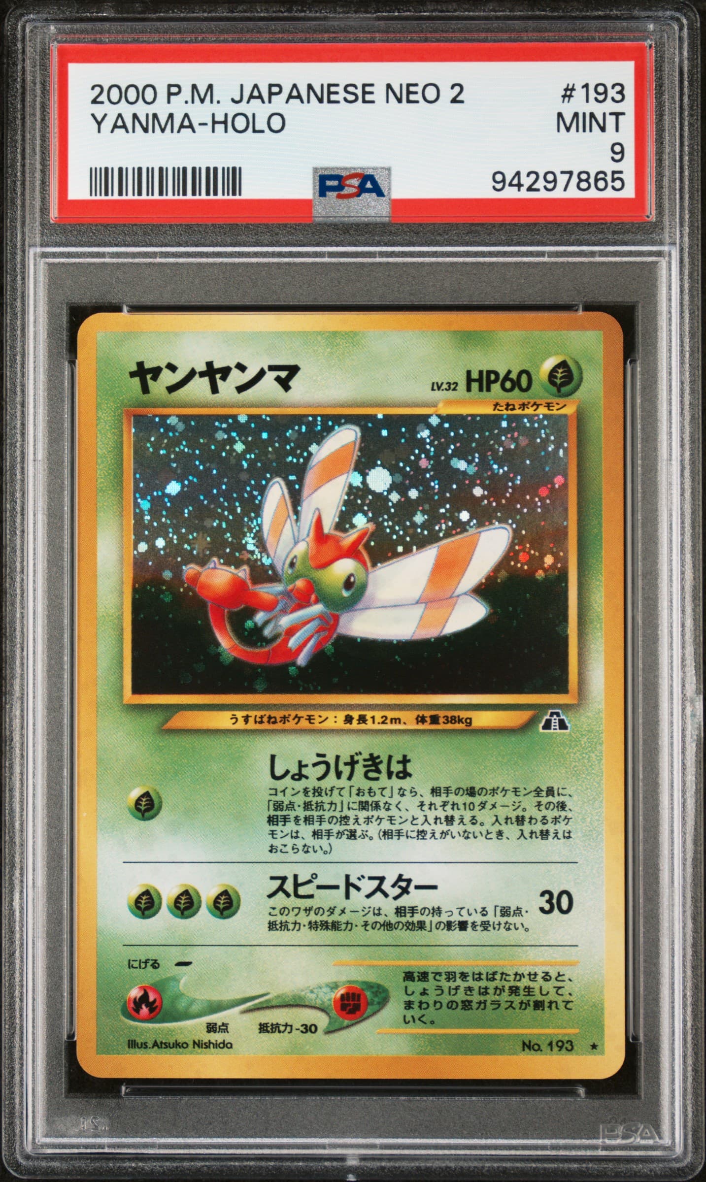 Yanma-Holo