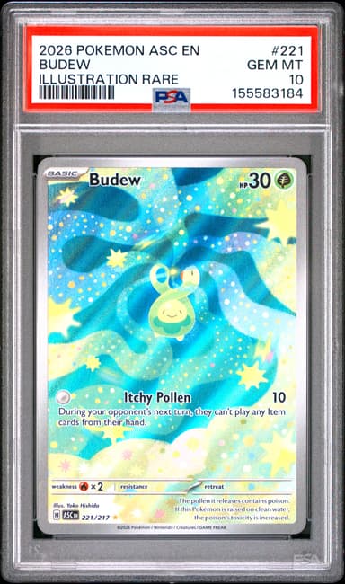 Budew