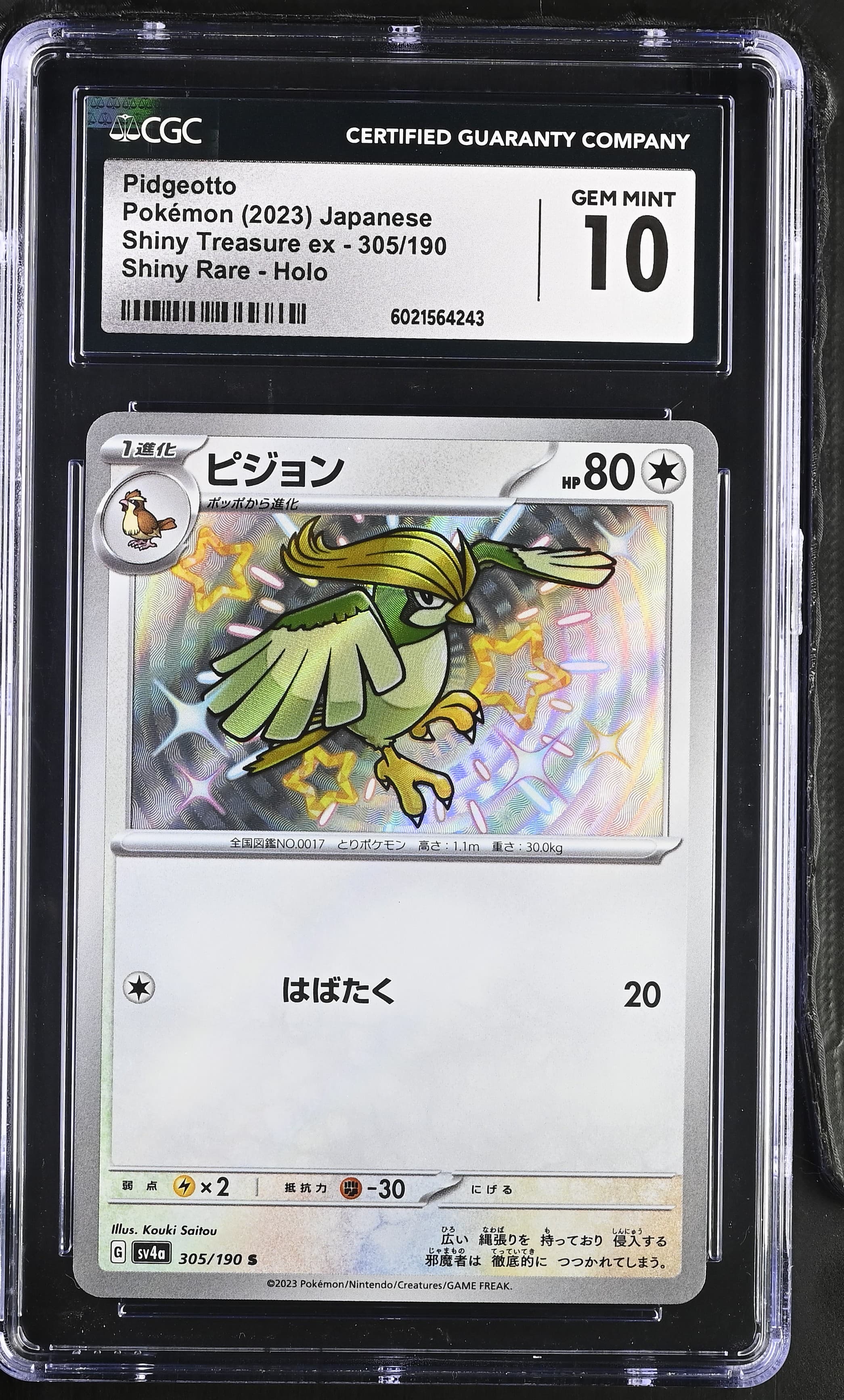 Pidgeotto