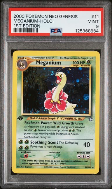 Meganium-Holo