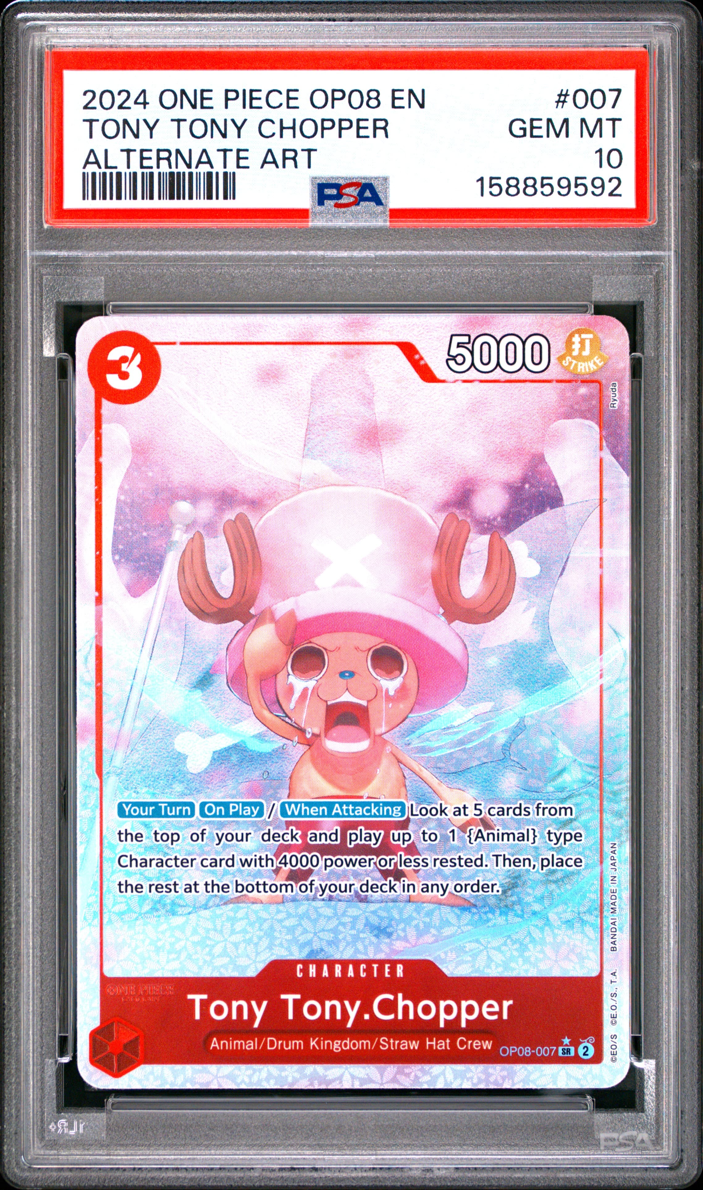Tony Tony Chopper