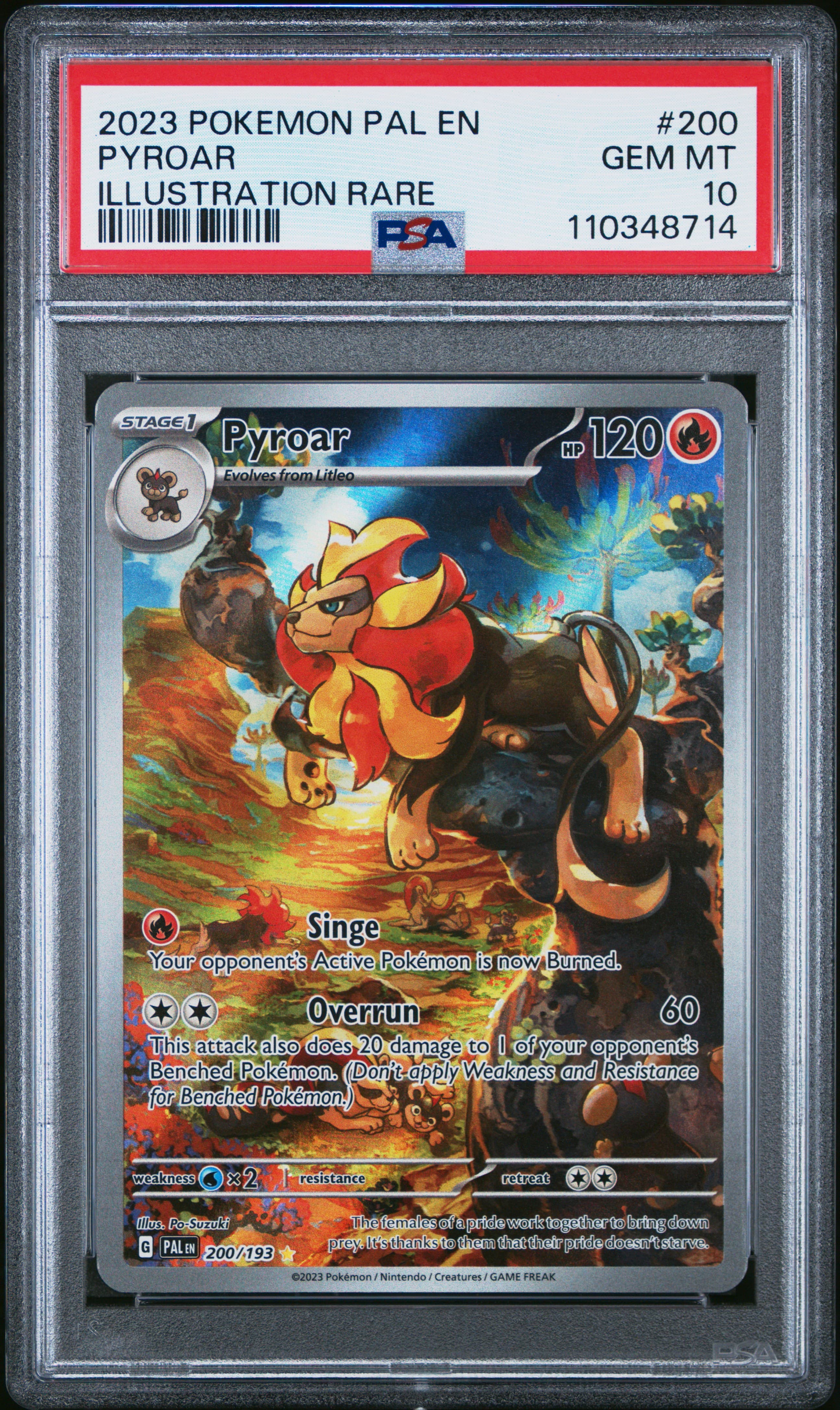 Pyroar