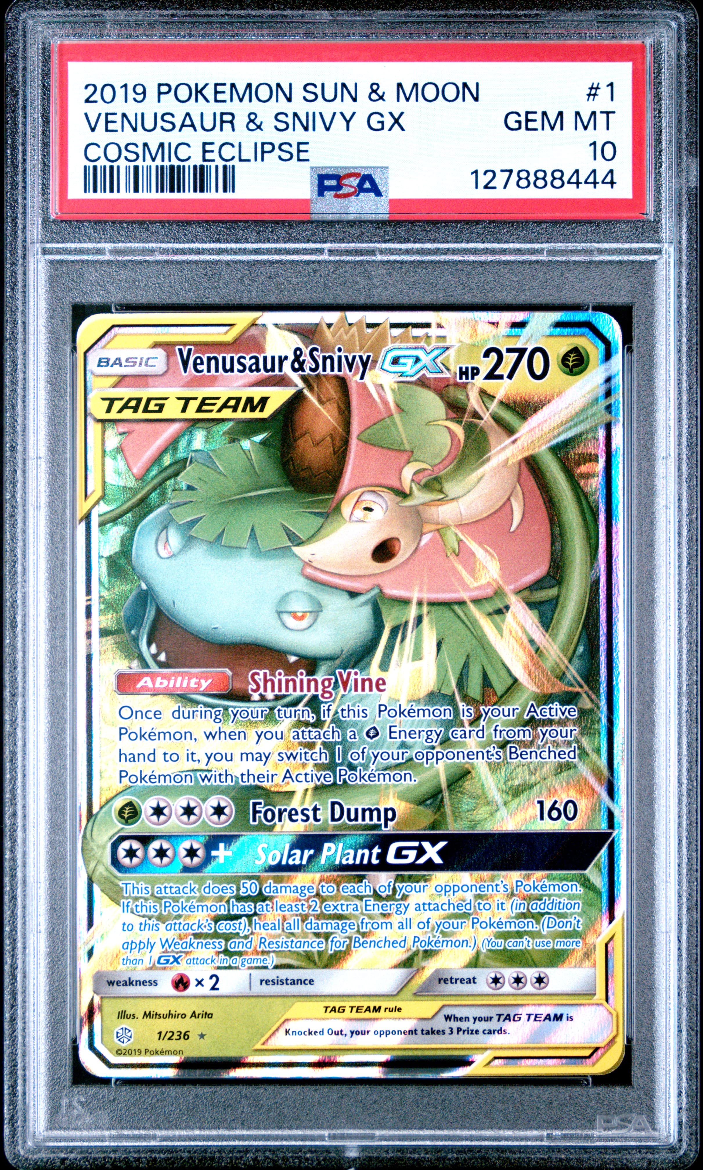Venusaur & Snivy GX