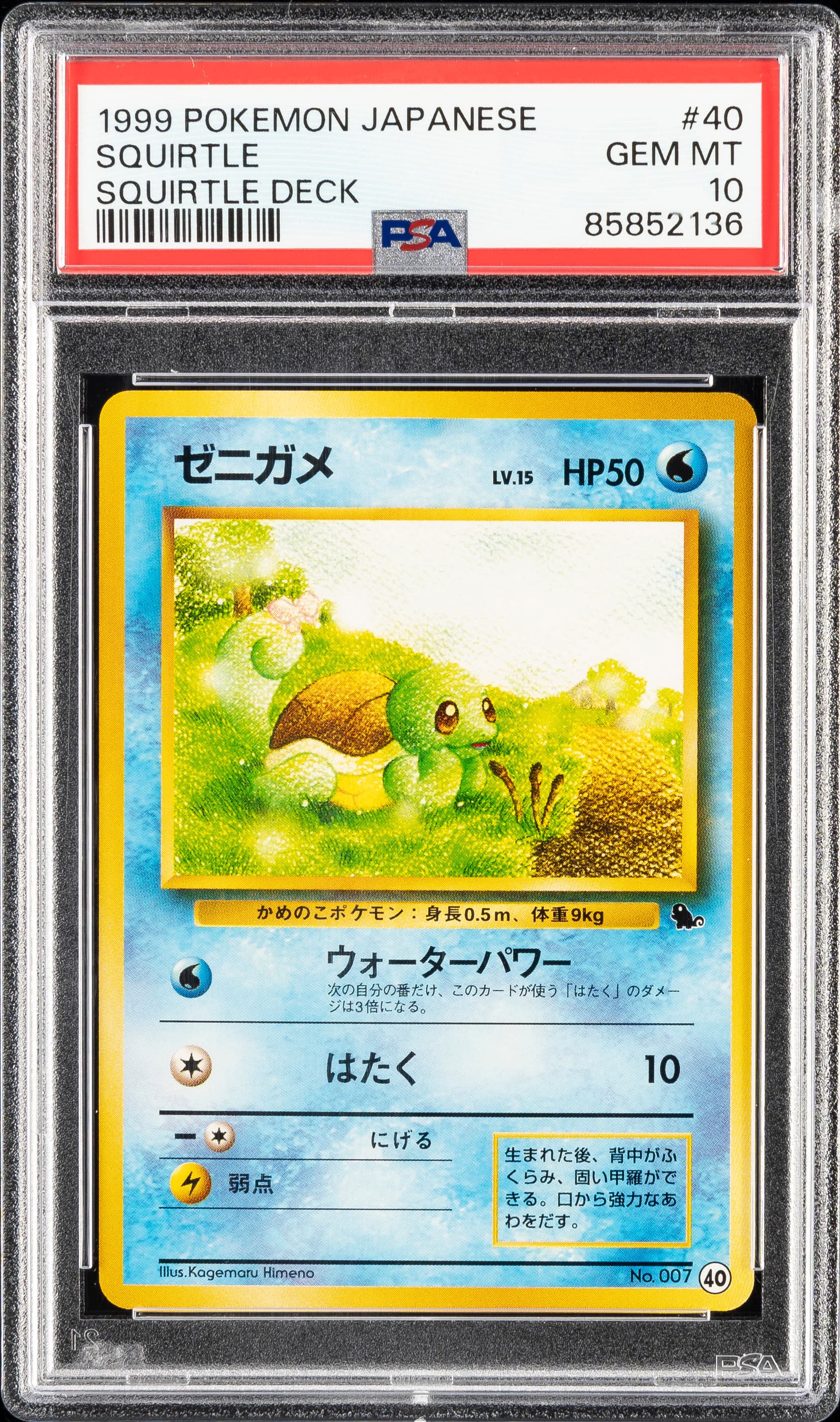 Squirtle