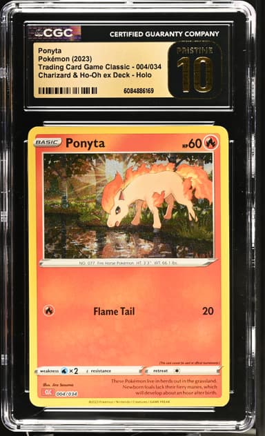 Ponyta