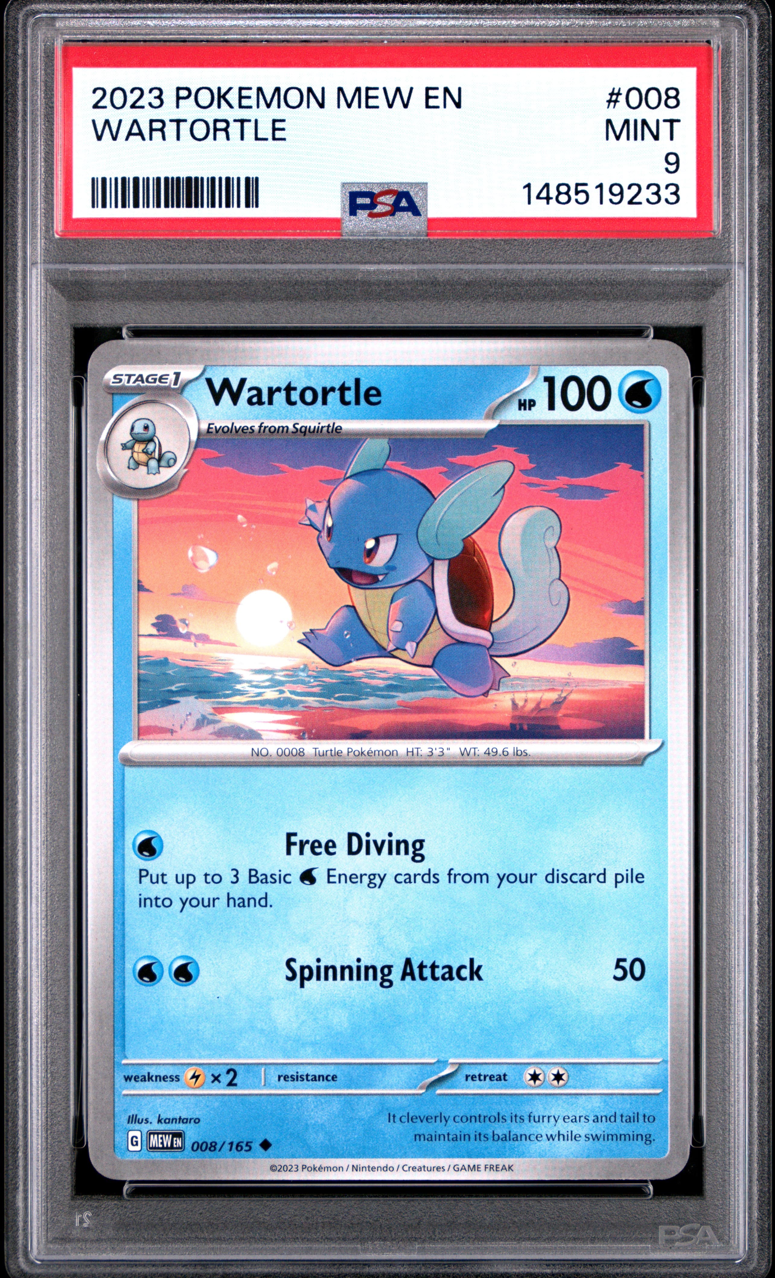 Wartortle