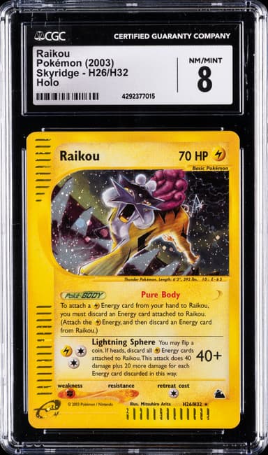 Raikou-Holo