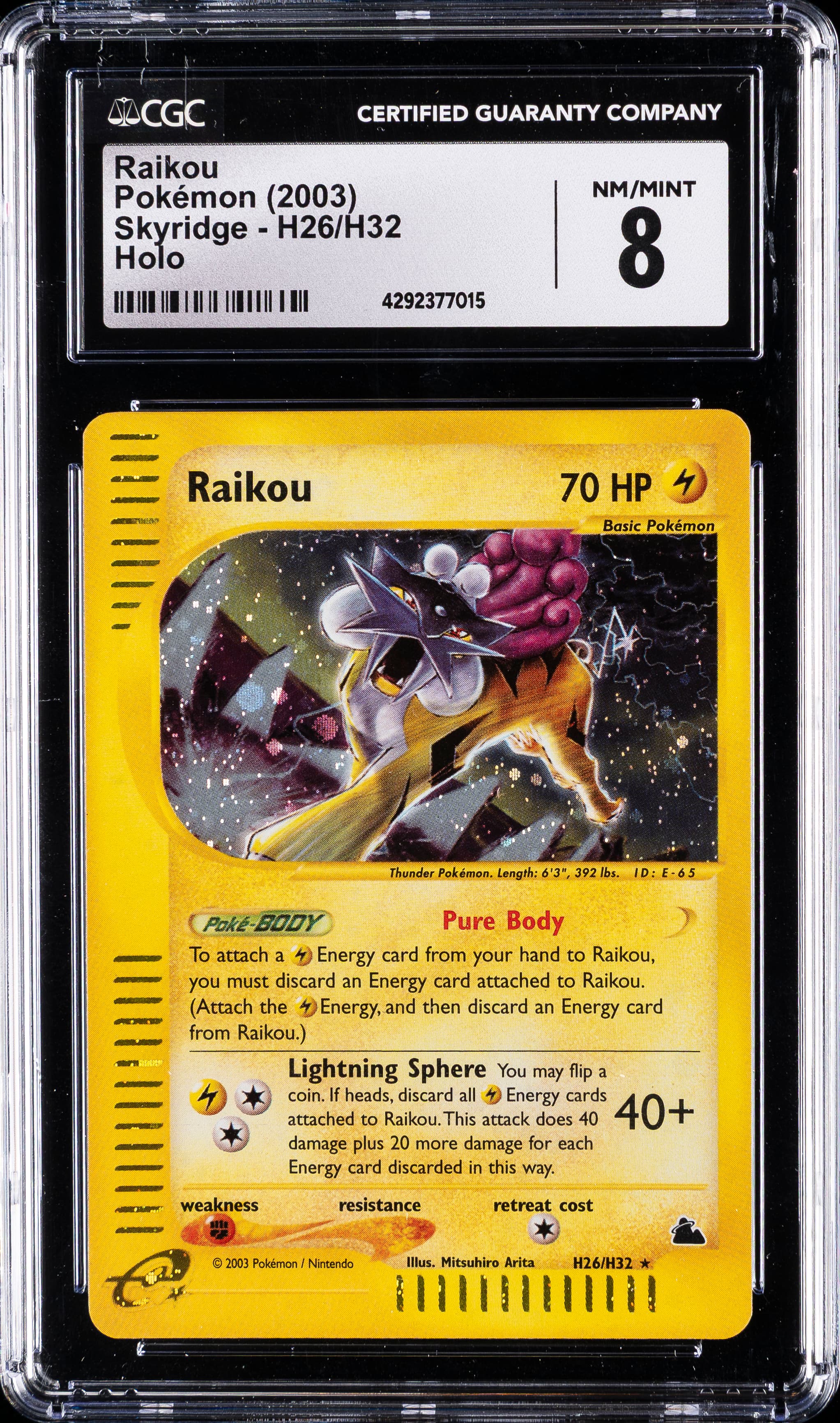 Raikou-Holo