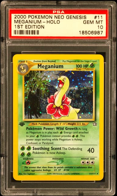 Meganium-Holo