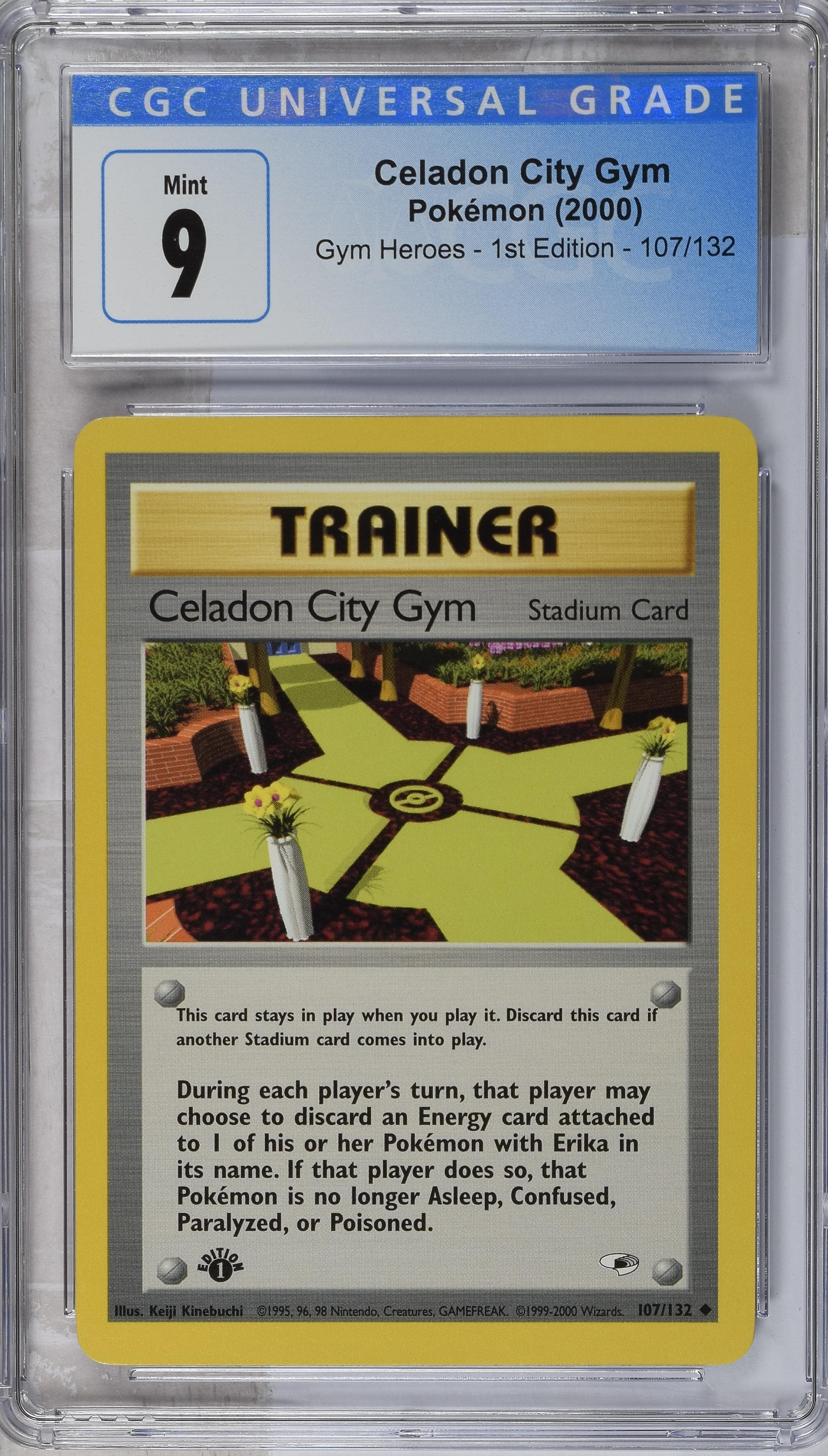 Celadon City Gym