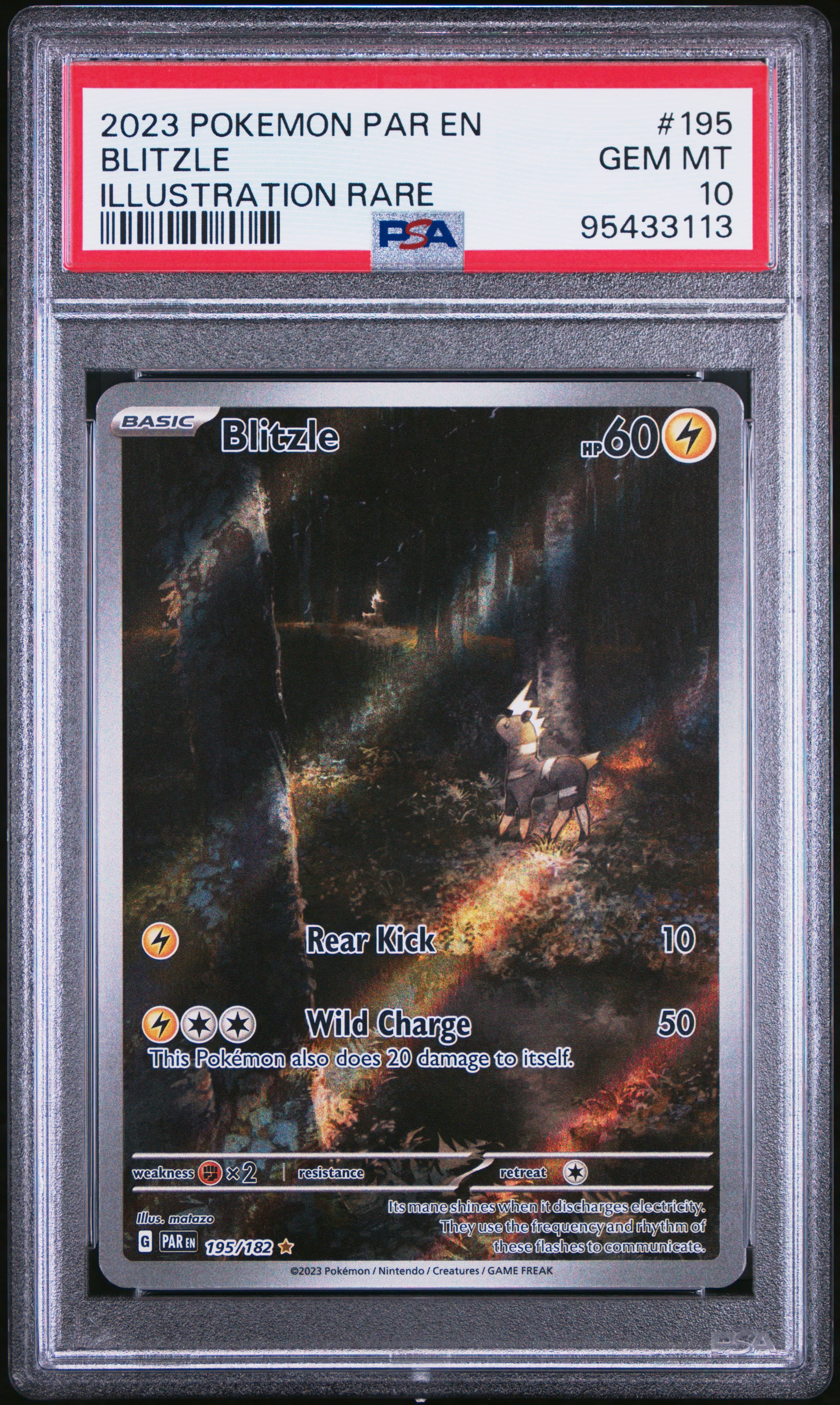 Blitzle