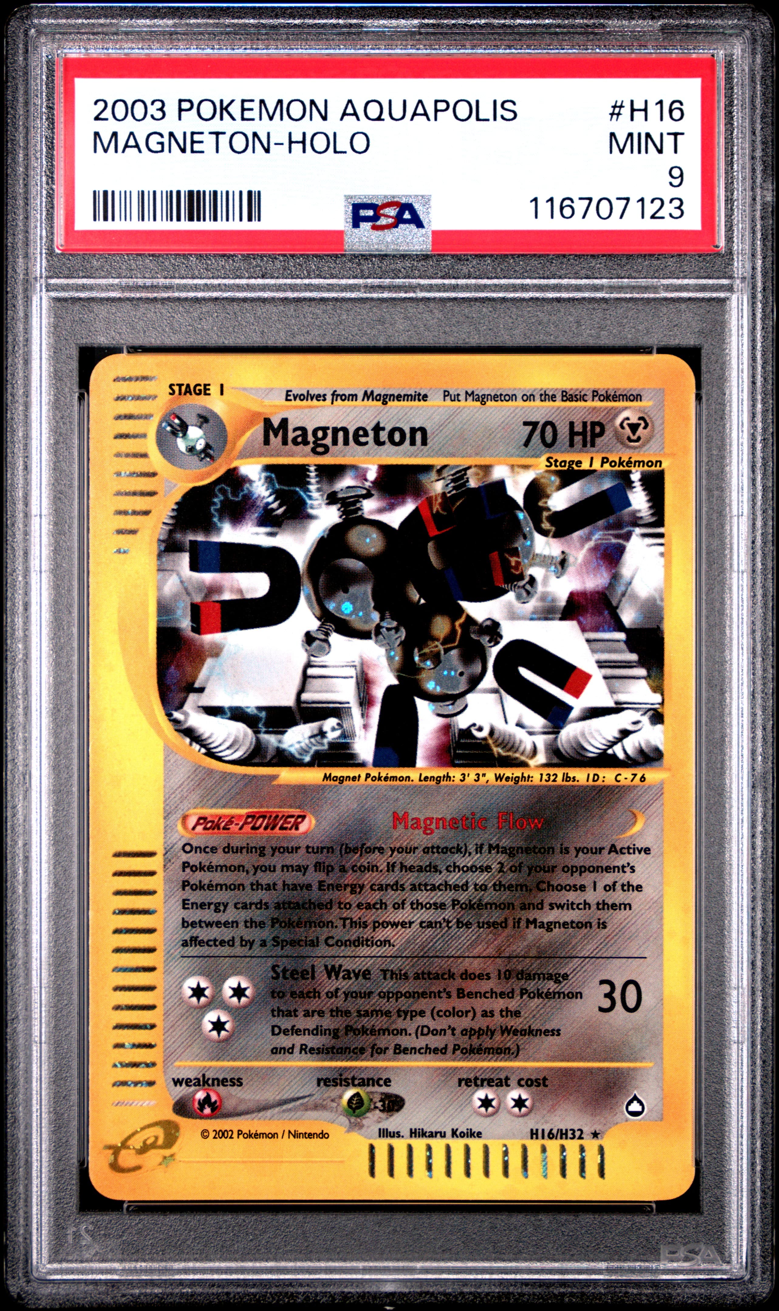 Magneton-Holo