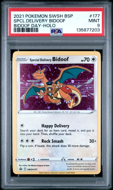 Special Delivery Bidoof-Holo
