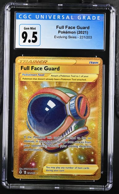 Full Face Guard