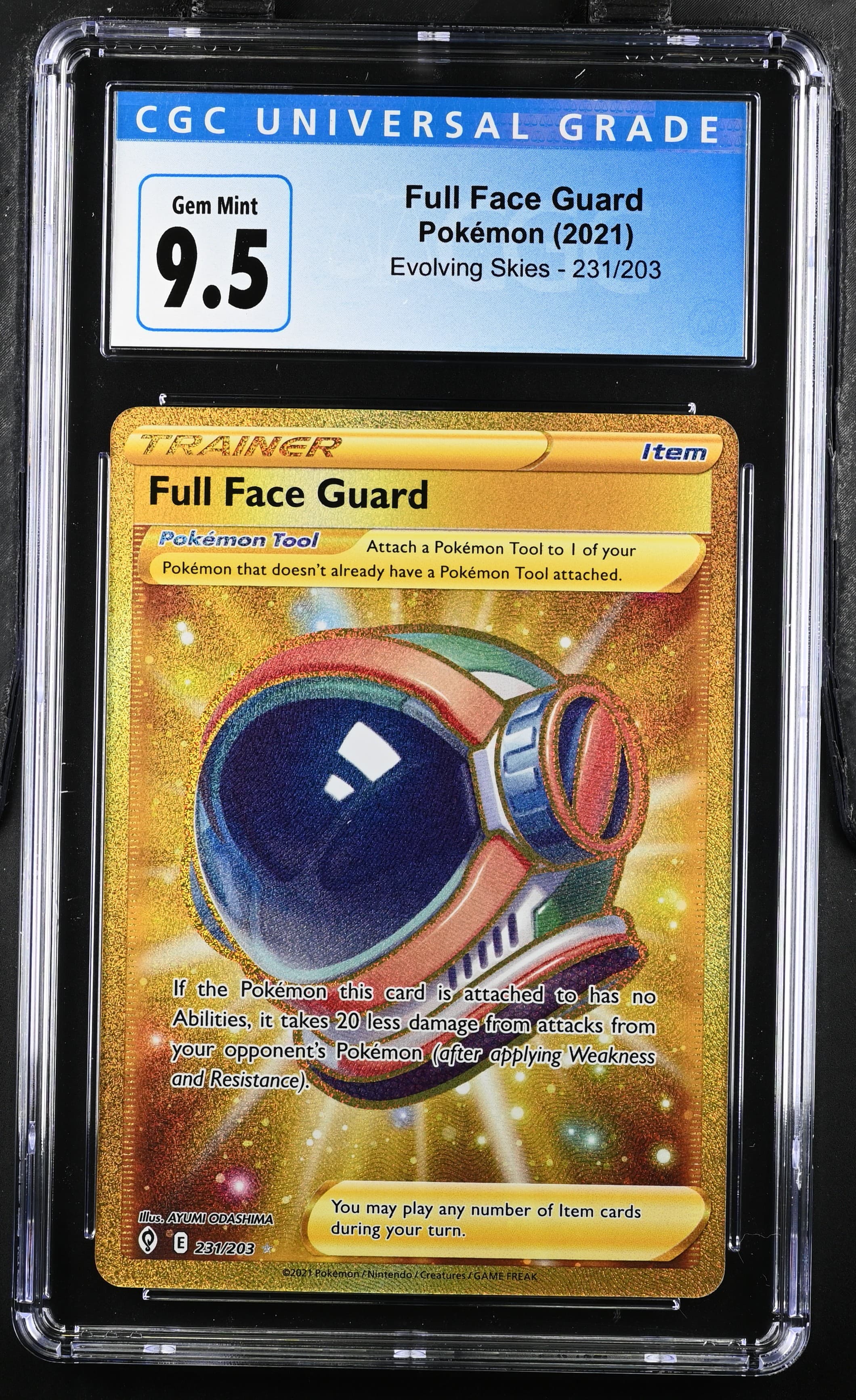 Full Face Guard