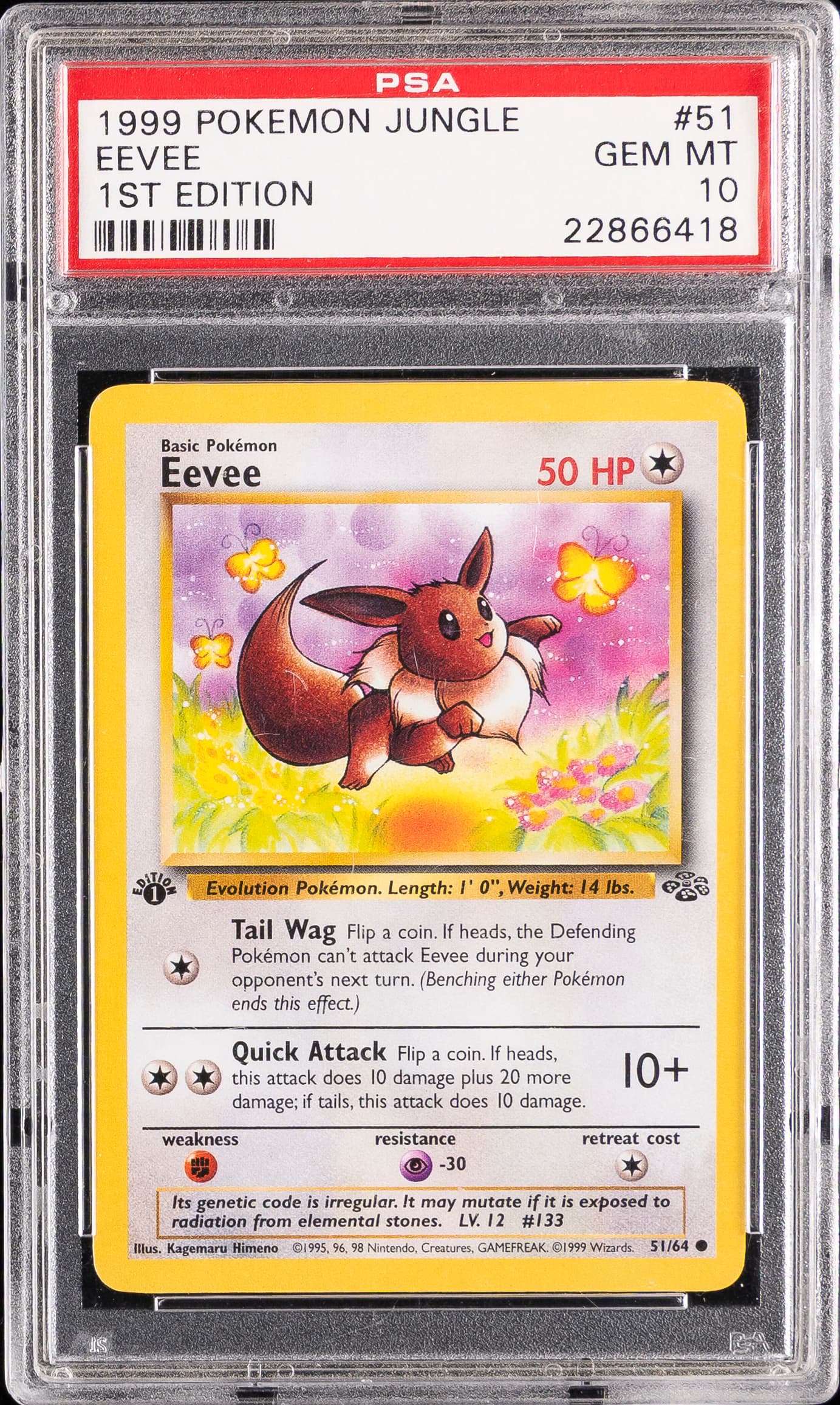 Eevee 1st Edition