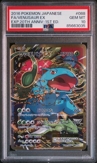 Full Art/Venusaur EX 1st Edition