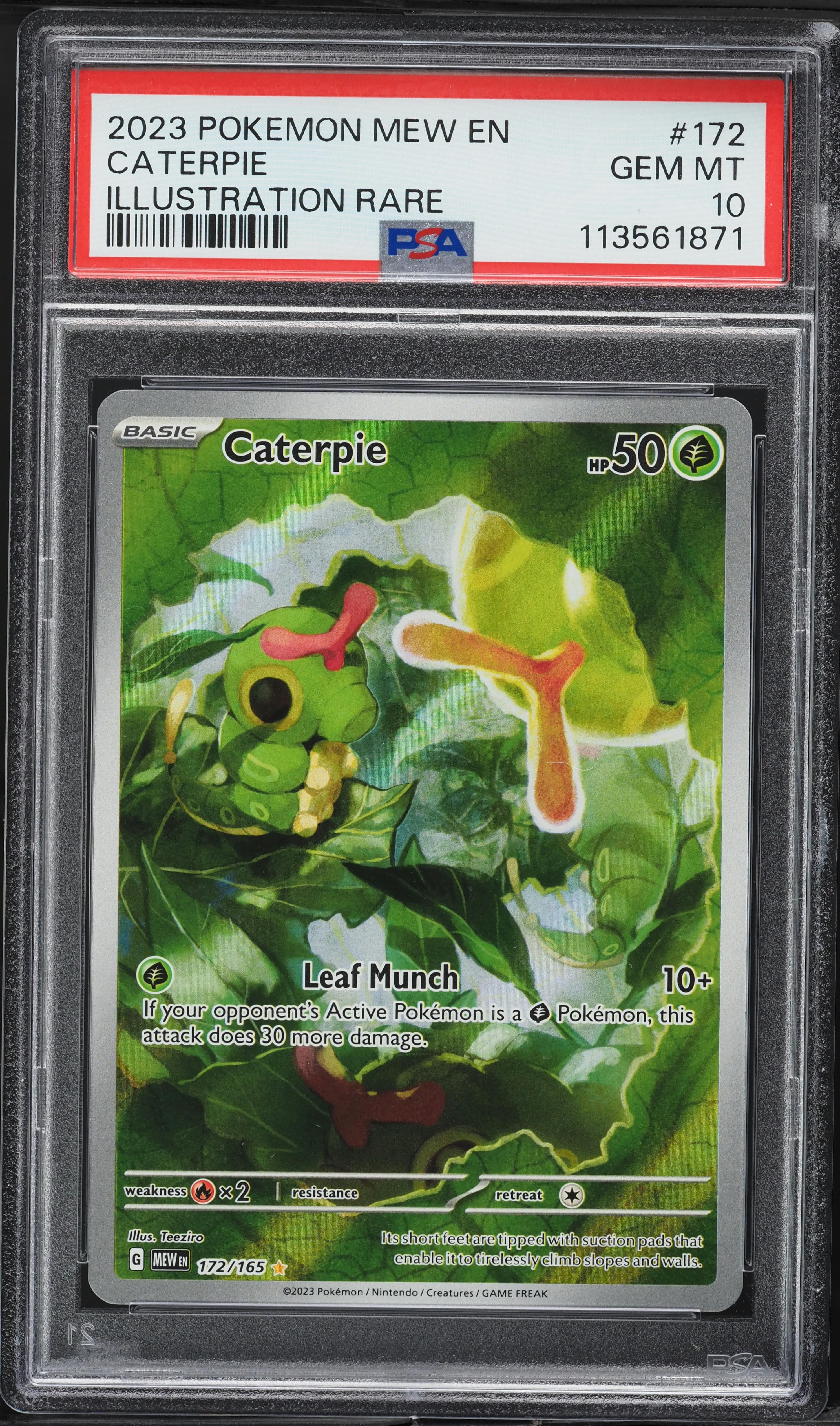 Caterpie