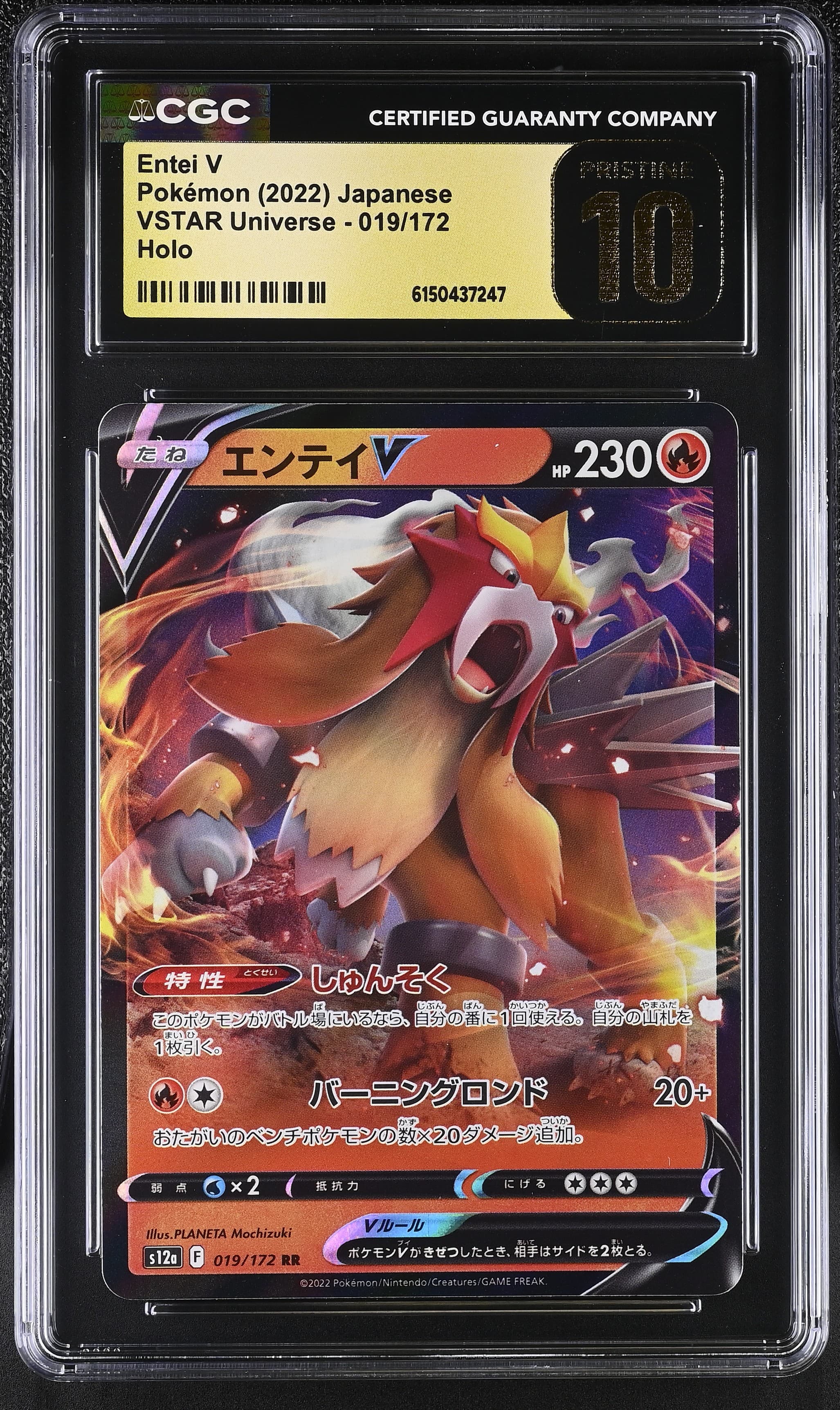 Entei V