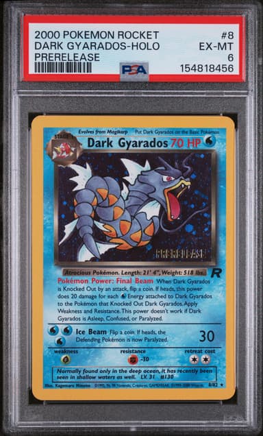 Dark Gyarados-Holo