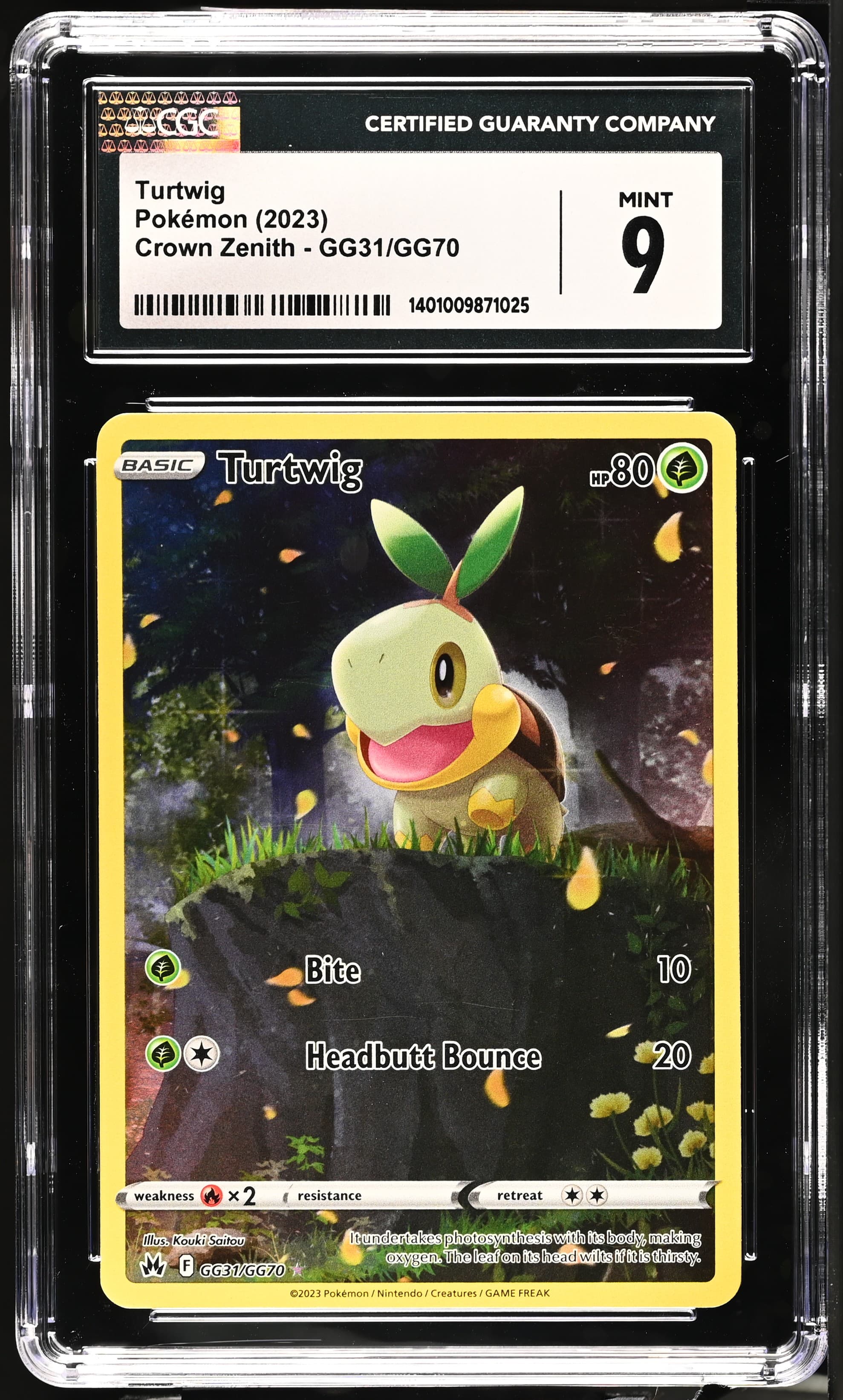 Turtwig